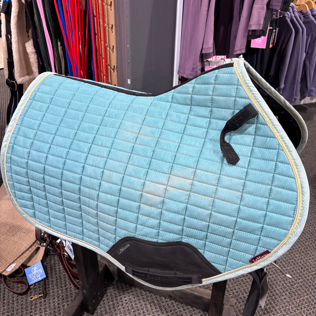 Used Large Teal LeMieux CC Suede Jump Pad