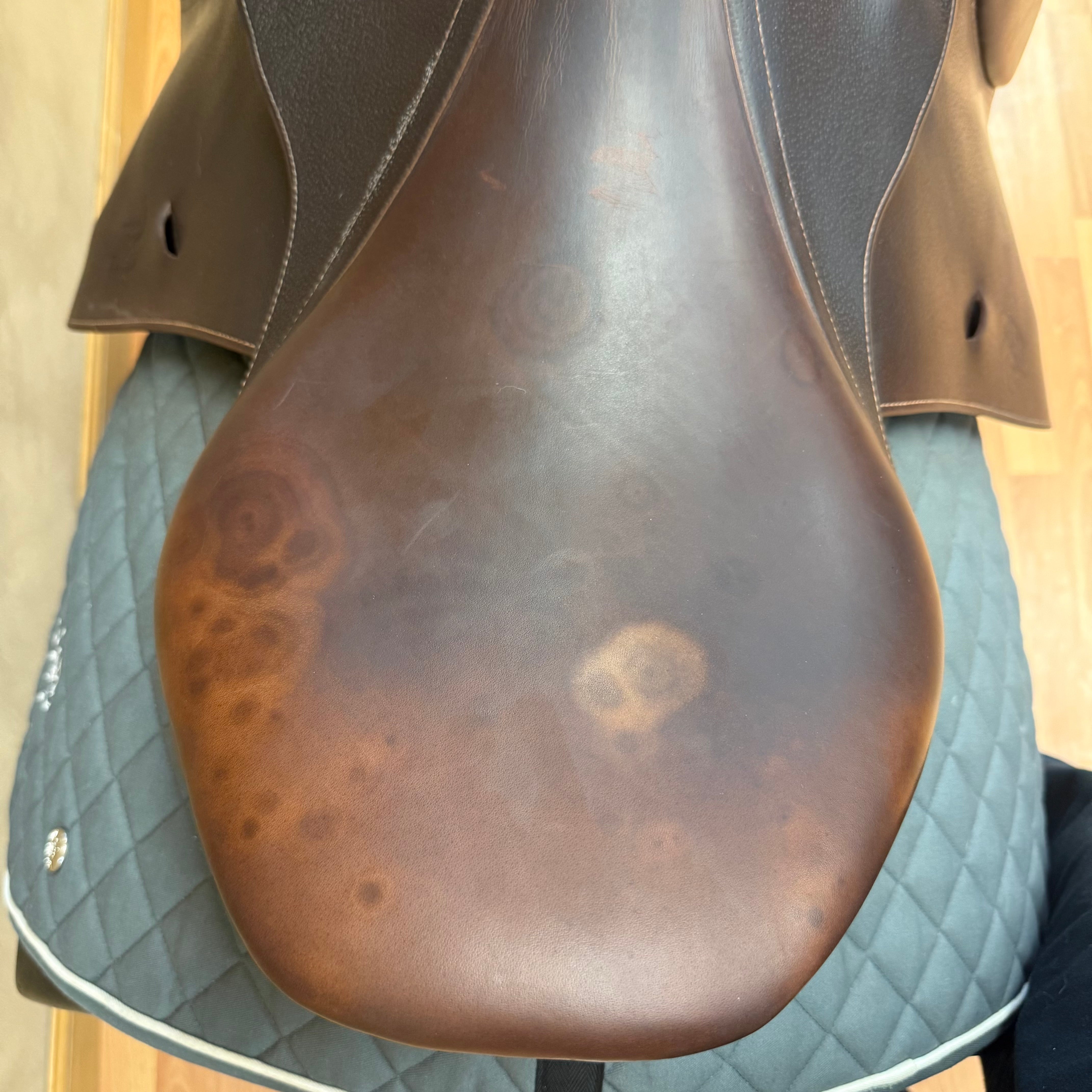 Used PJ Premier Jump Saddle 18" Medium Tree