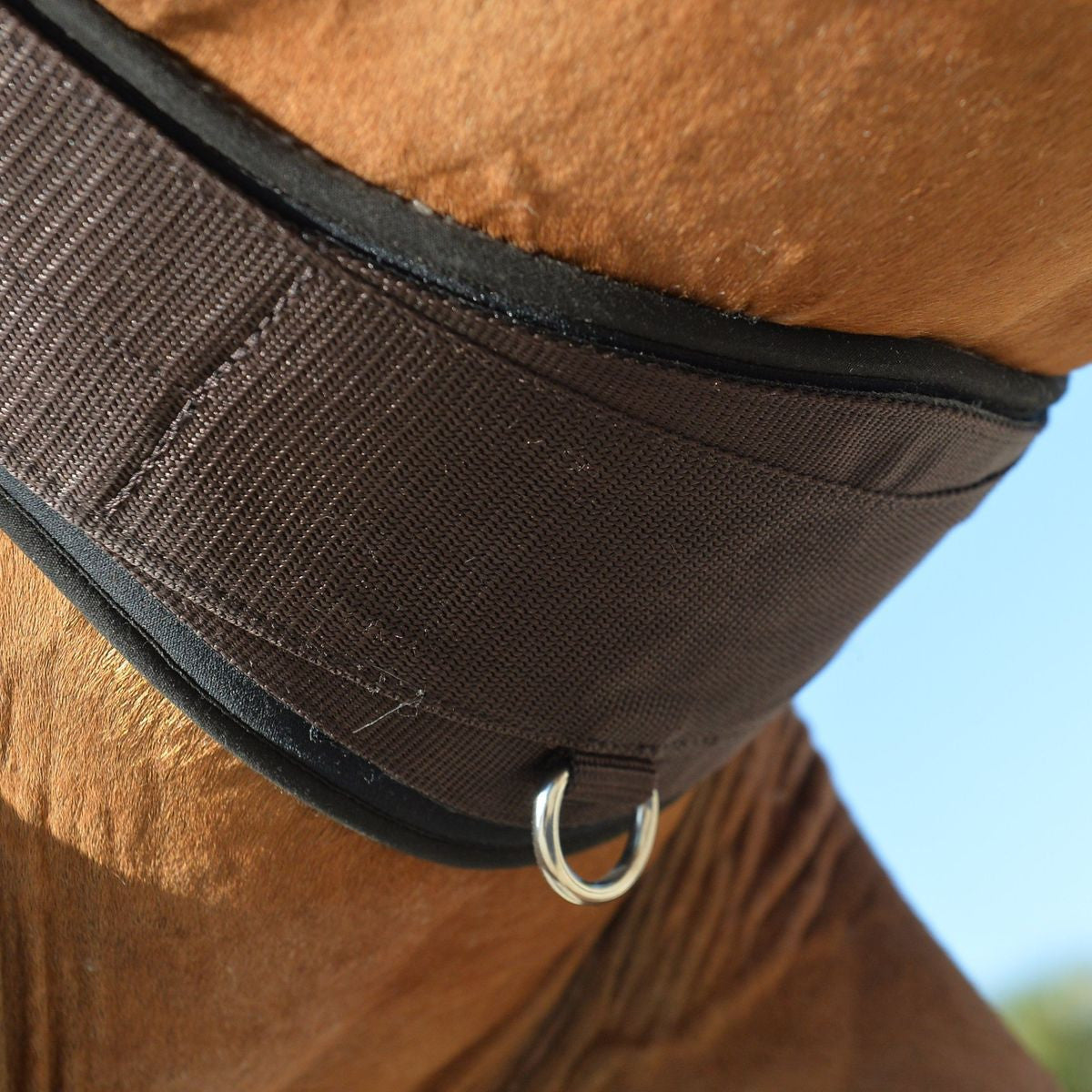 Equifit Essential Schooling Girth - supporting