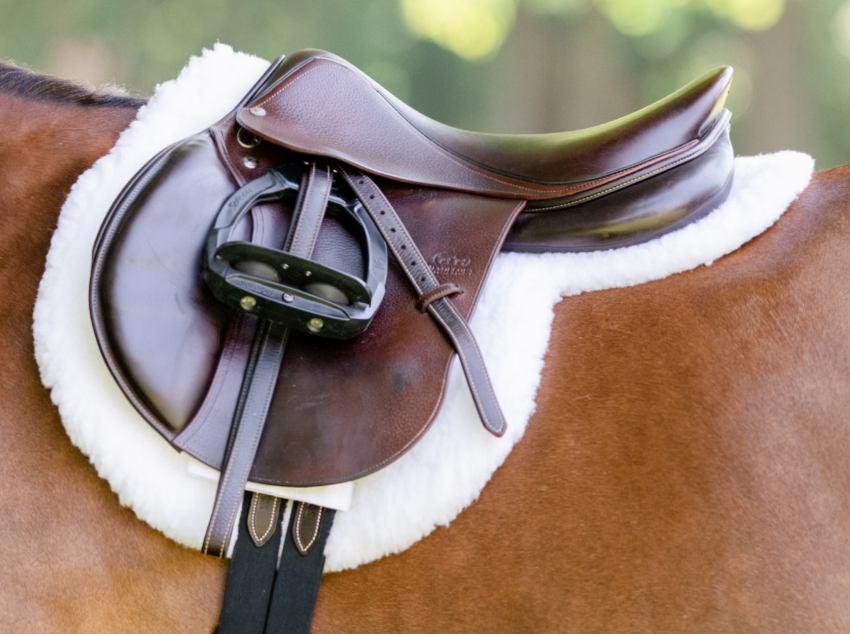 Equifit Essential Hunter Pad - main