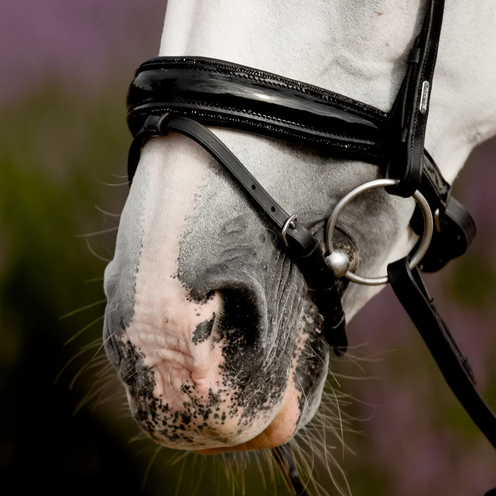Lumiere Arcadia Luxury Leather Bridle Hanovarian