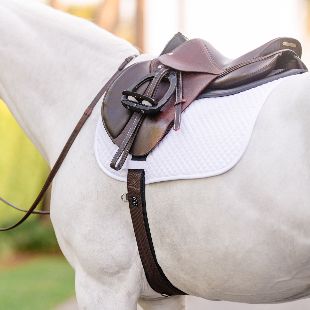 Equifit Essential Schooling Girth - supporting