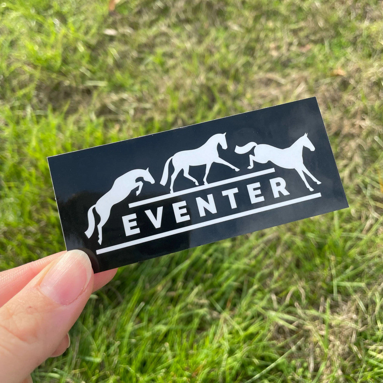 Dapplebay Eventing Sticker Pack - sku to order - 117877