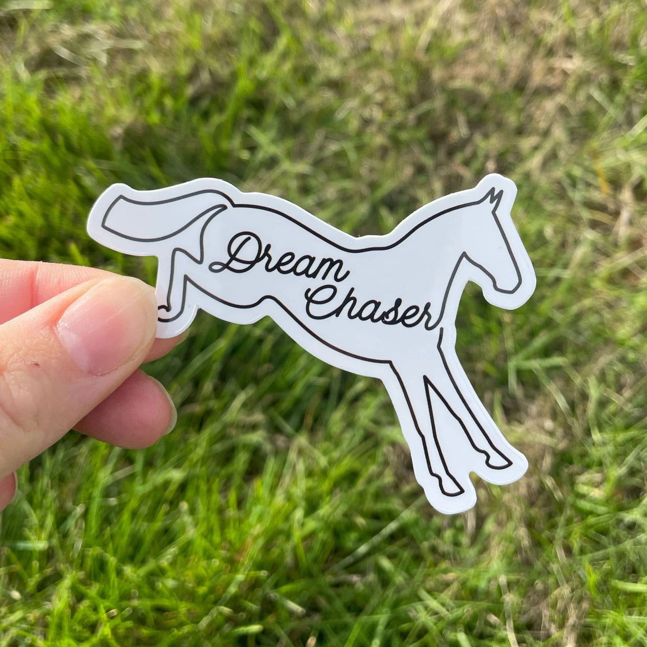 Dapplebay Eventing Sticker Pack - sku to order - 117877