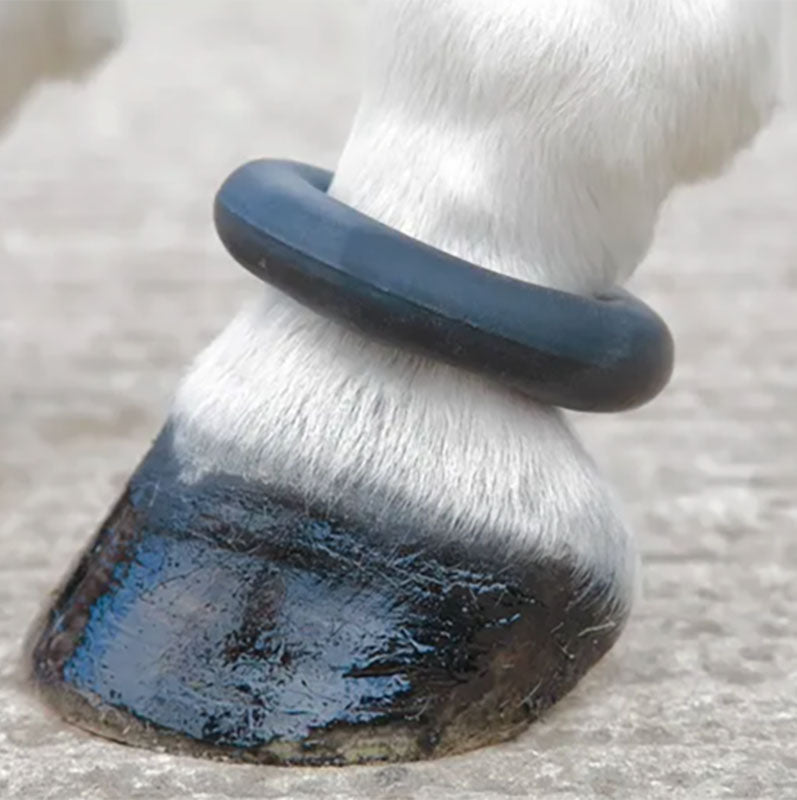 Rubber Fetlock Ring
