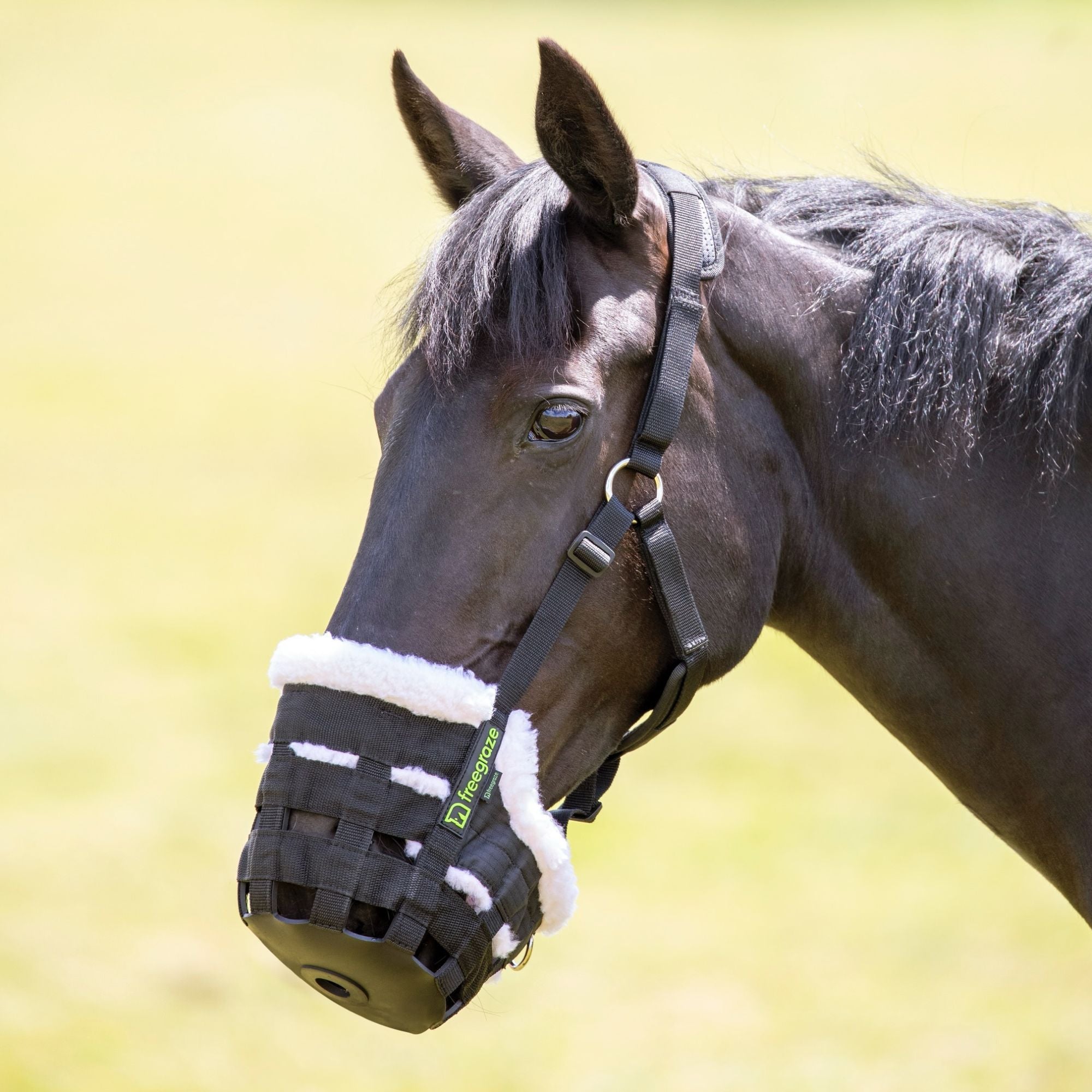 Shires Free Graze Deluxe Grazing Muzzle