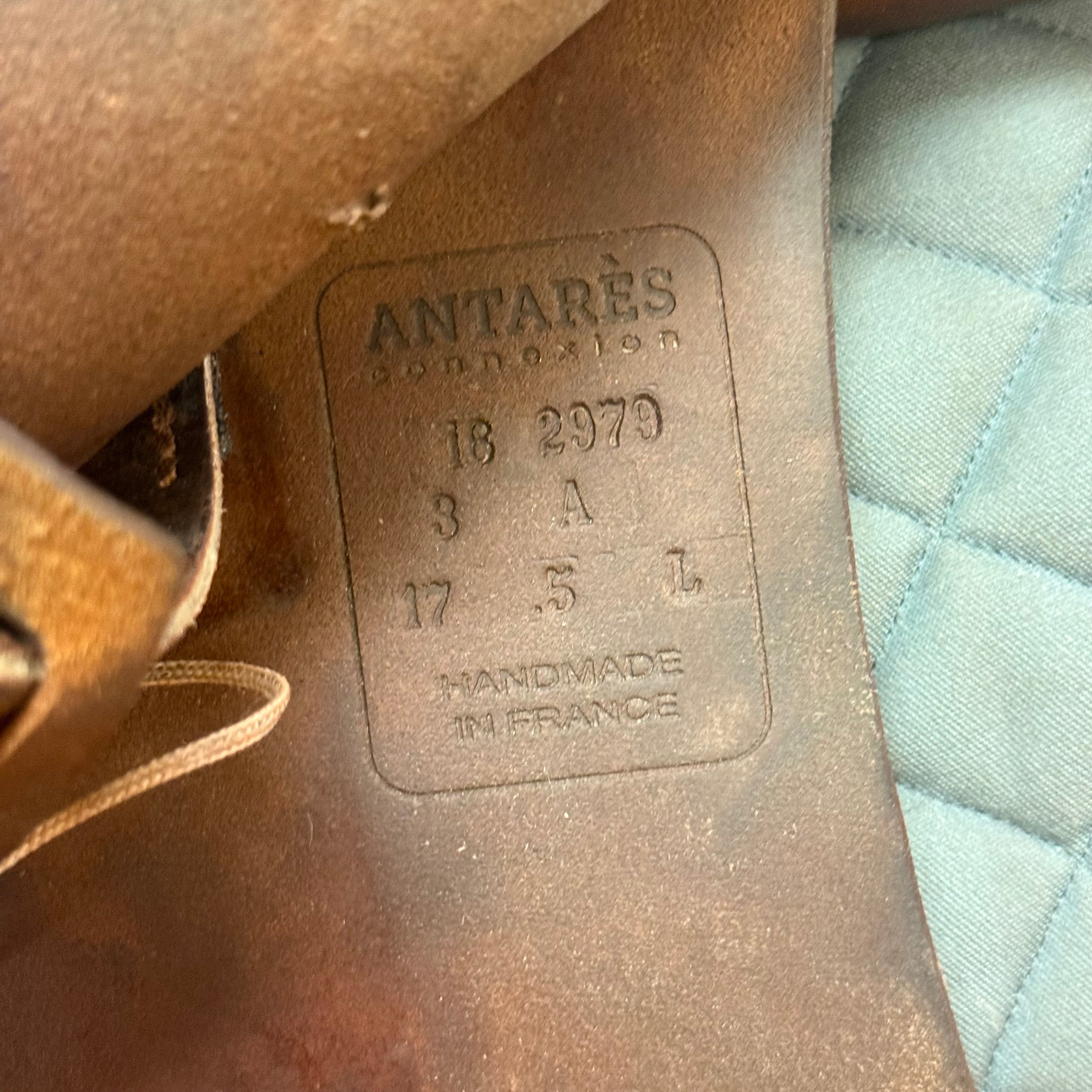 Used Antares Connexion Jump Saddle 17.5" Medium Wide Tree