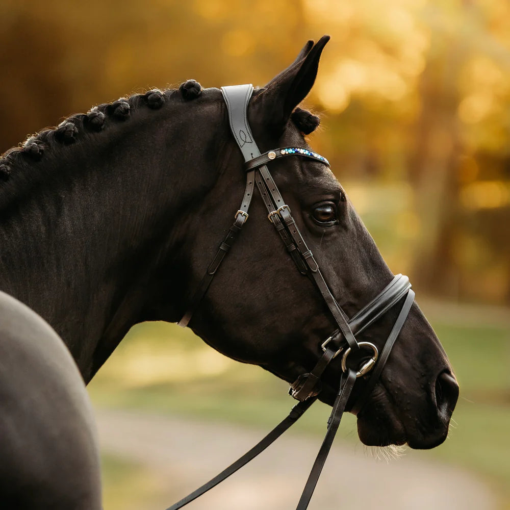 Lumiere Arcadia Luxury Leather Bridle - Equus Now!