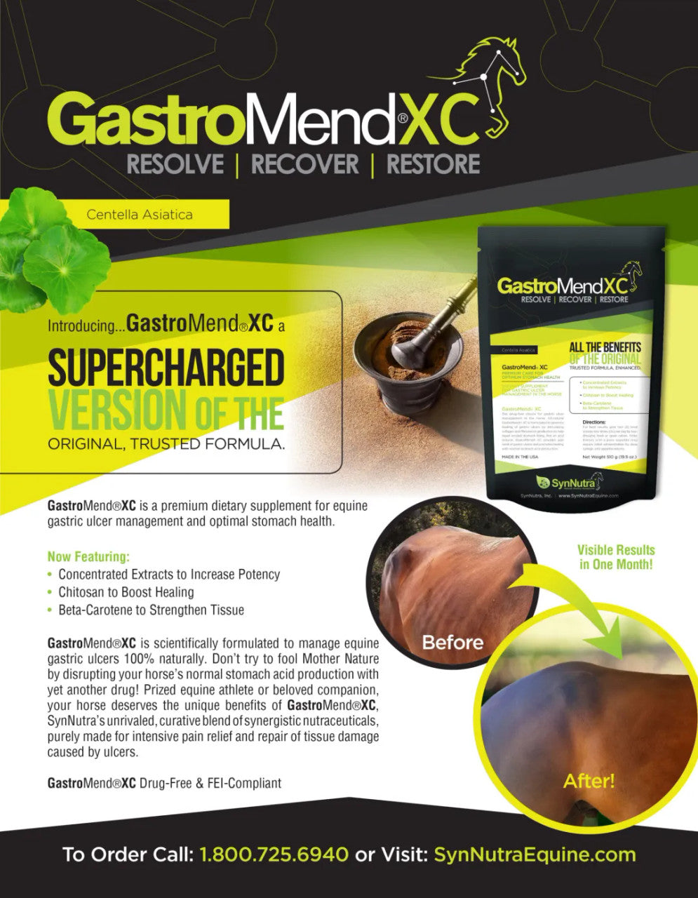 SynNutra GastroMend XC - 30 Day Supply - sku to order - 116685