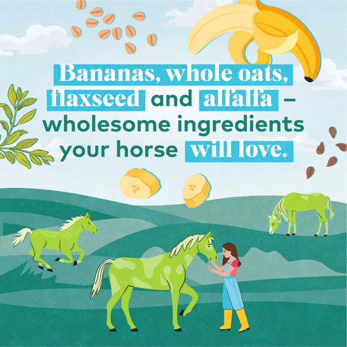 Honest to Goodness Upcycled Horse Treats 2lb Bag
