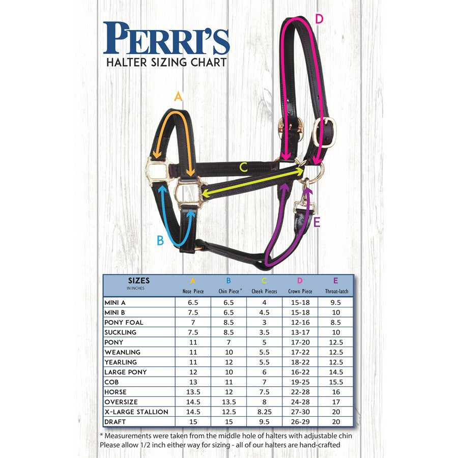 Perri's Fancy Stitched Leather Halter - supporting