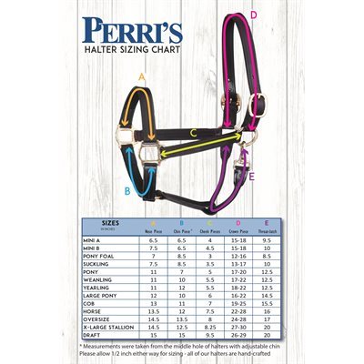 Perri's Grooming Halter with Nameplate