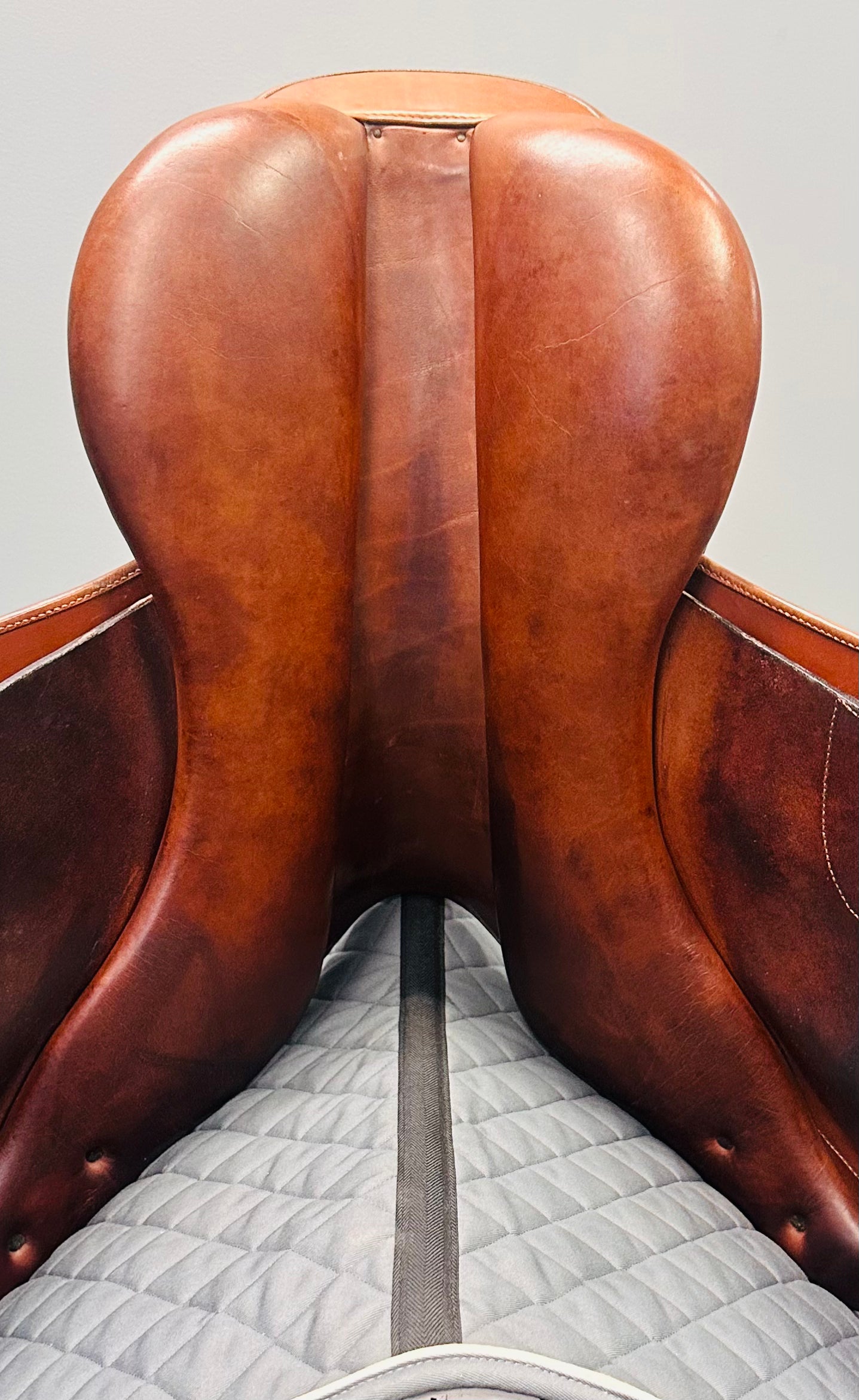 Used M Toulouse 17" Wide Tree