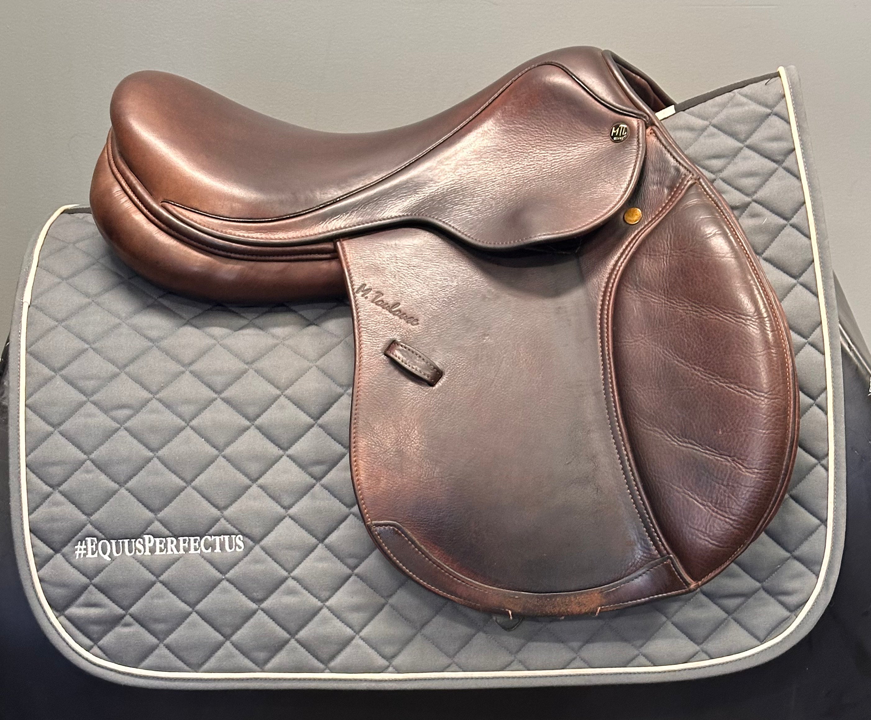 Used M Toulouse Annice Jump Saddle 17" Medium Wide Gullet