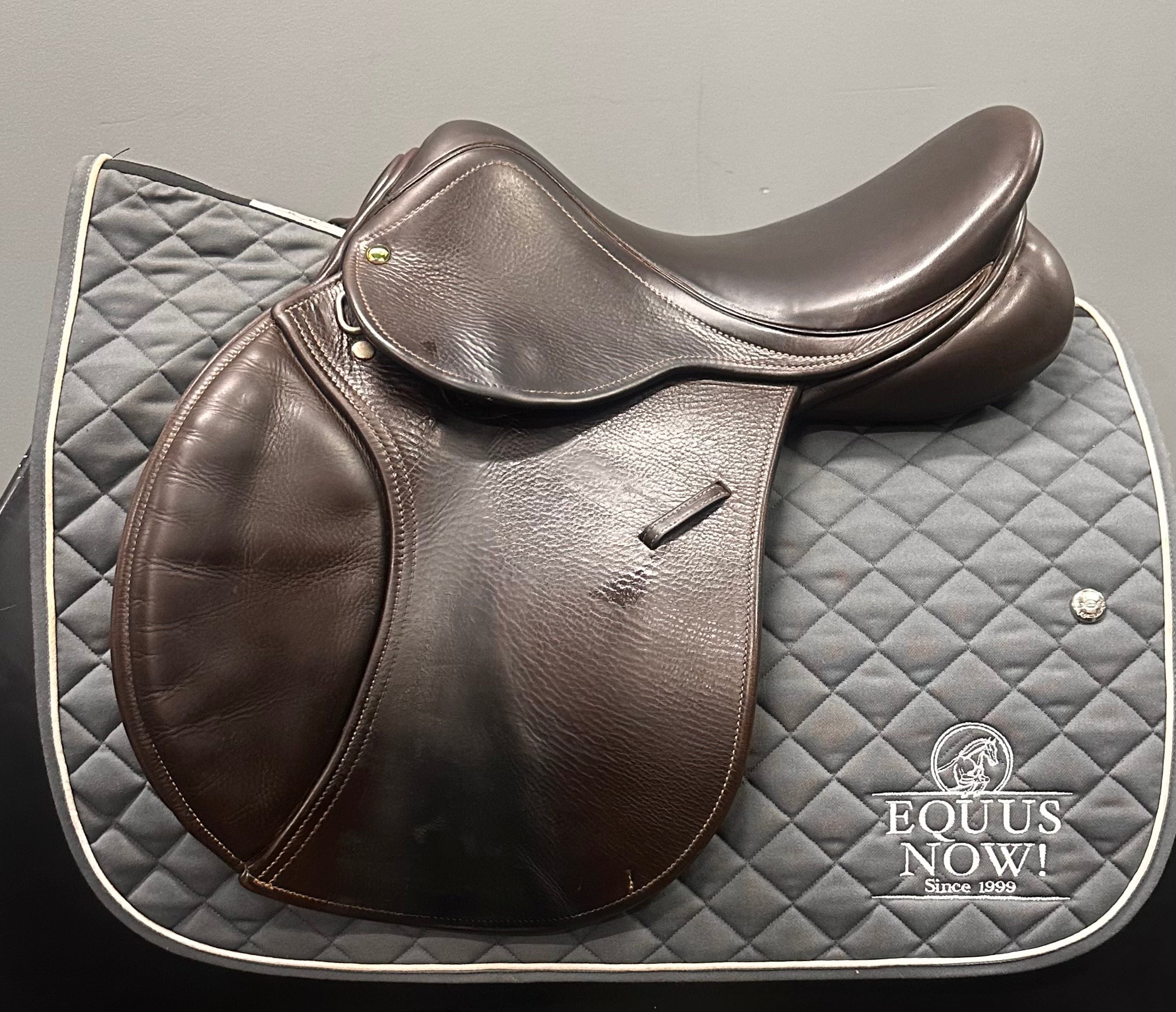 Used County Jump Saddle- 16" Medium Tree/ Forward Flap