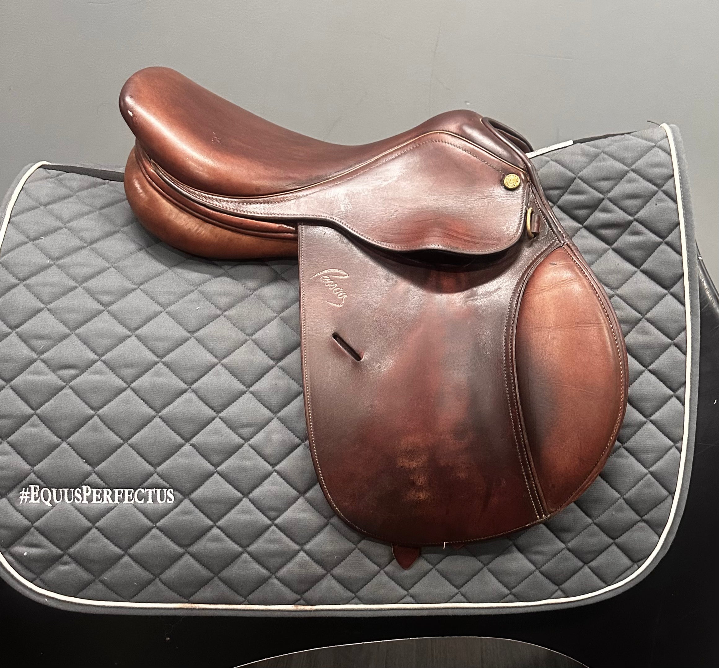 Used Pessoa Amo Childrens Jump Saddle 15" Medium Tree