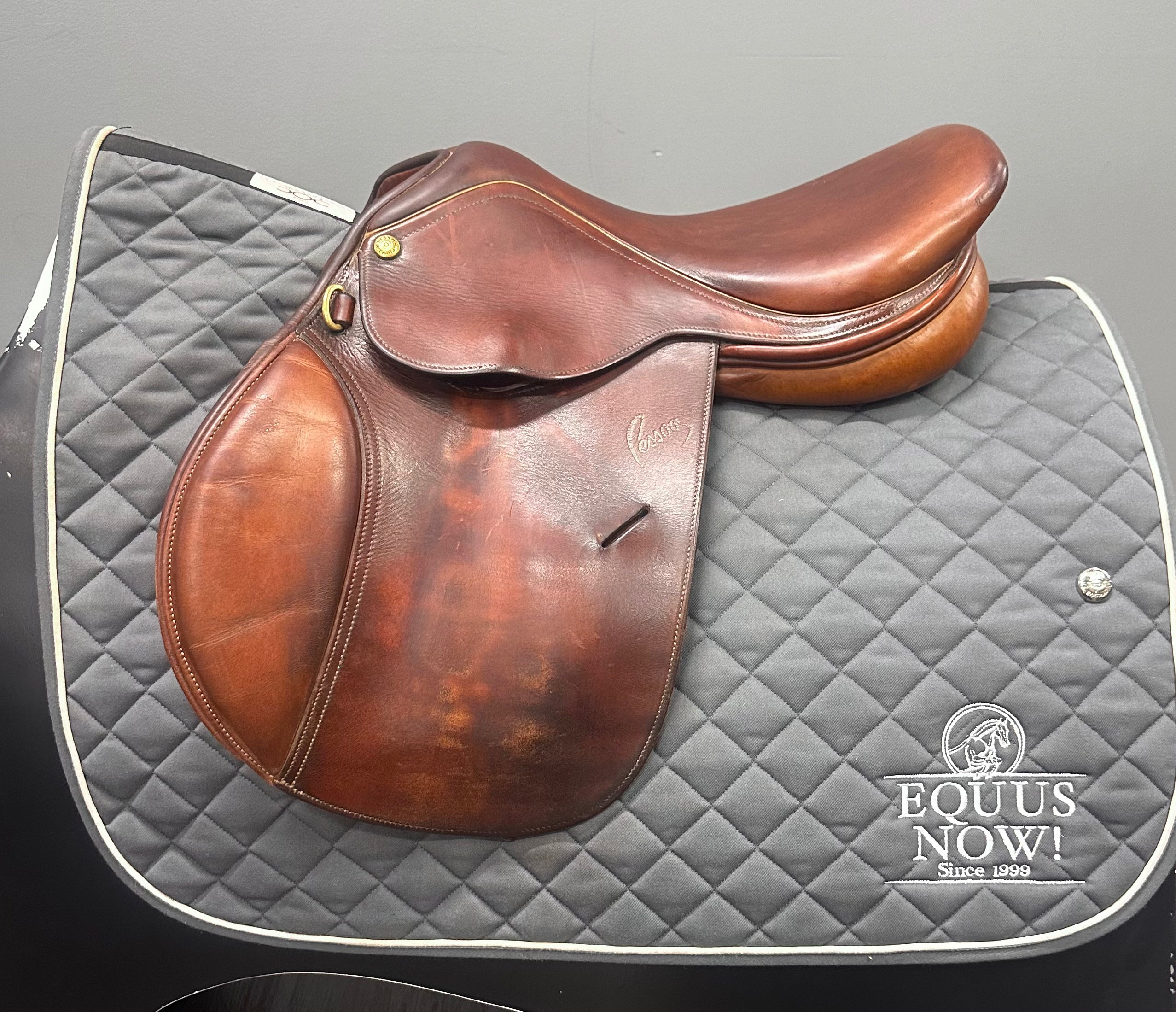 Used Pessoa Amo Childrens Jump Saddle 15" Medium Tree