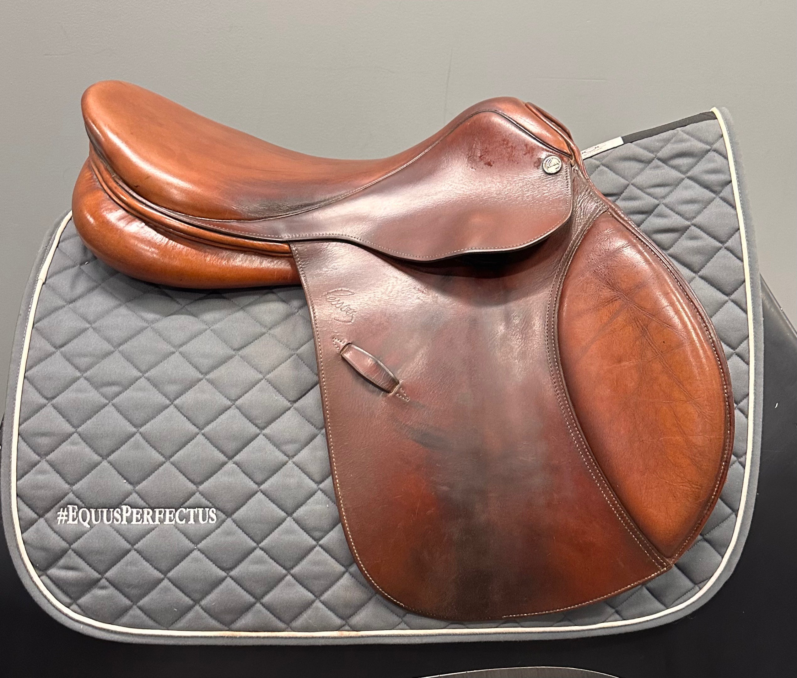Used Pessoa 17.5" Medium Tree