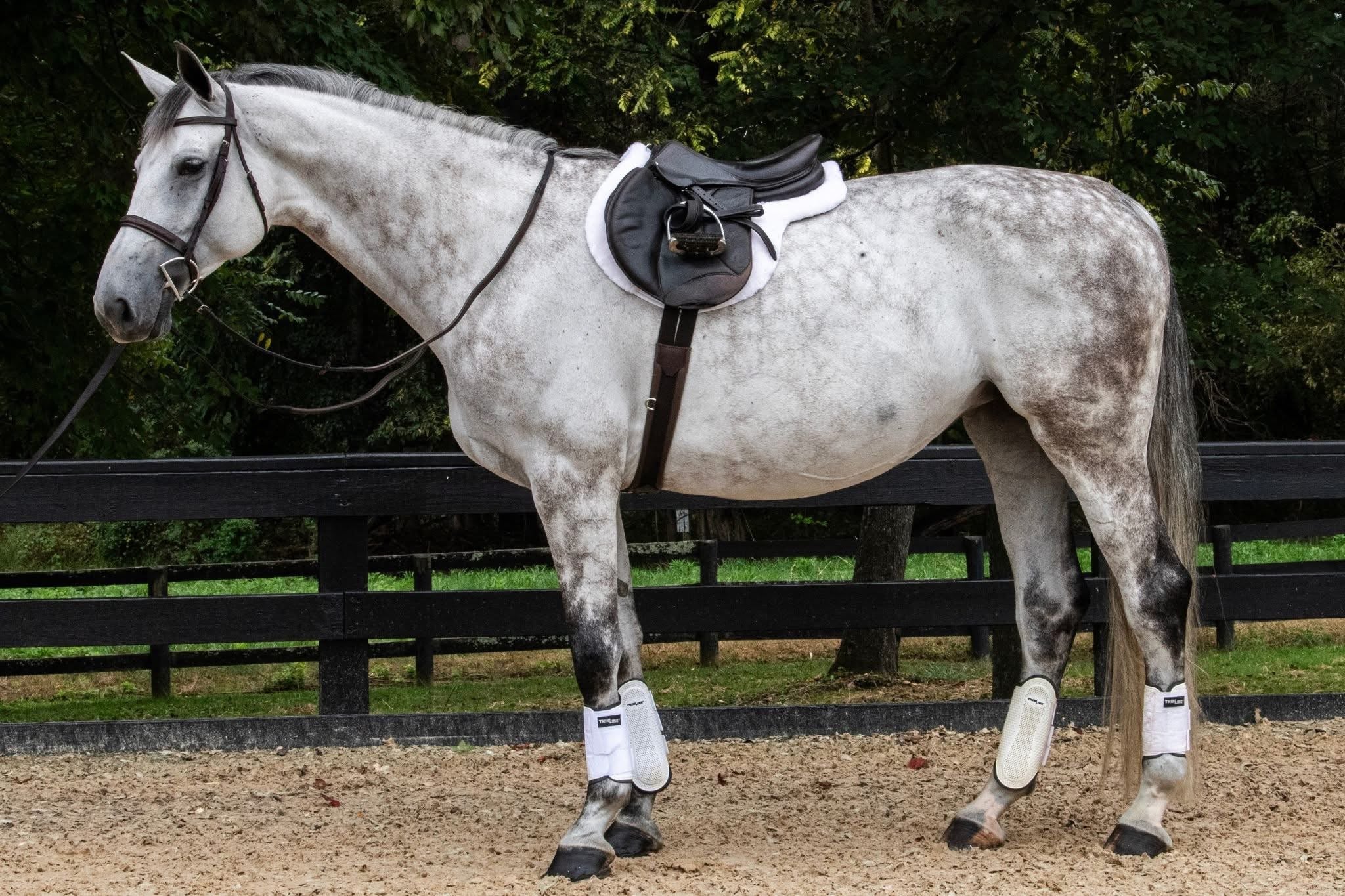 ThinLine Link Hunter Pad