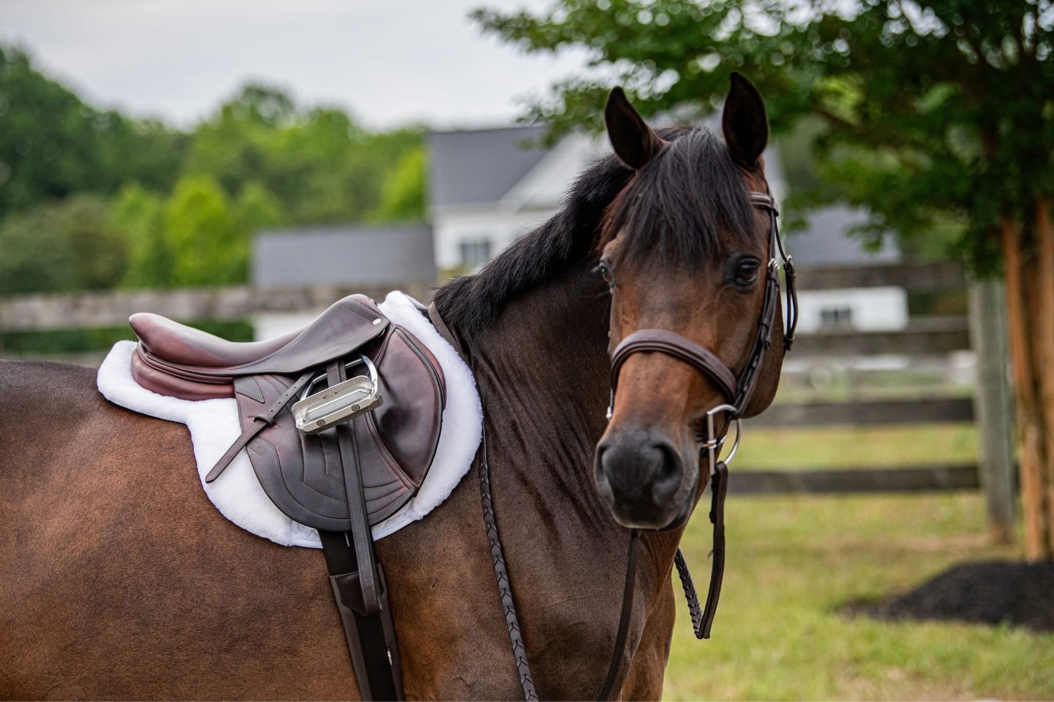 ThinLine Link Hunter Pad