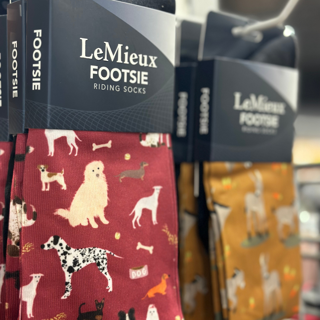 LeMieux Footsie Socks