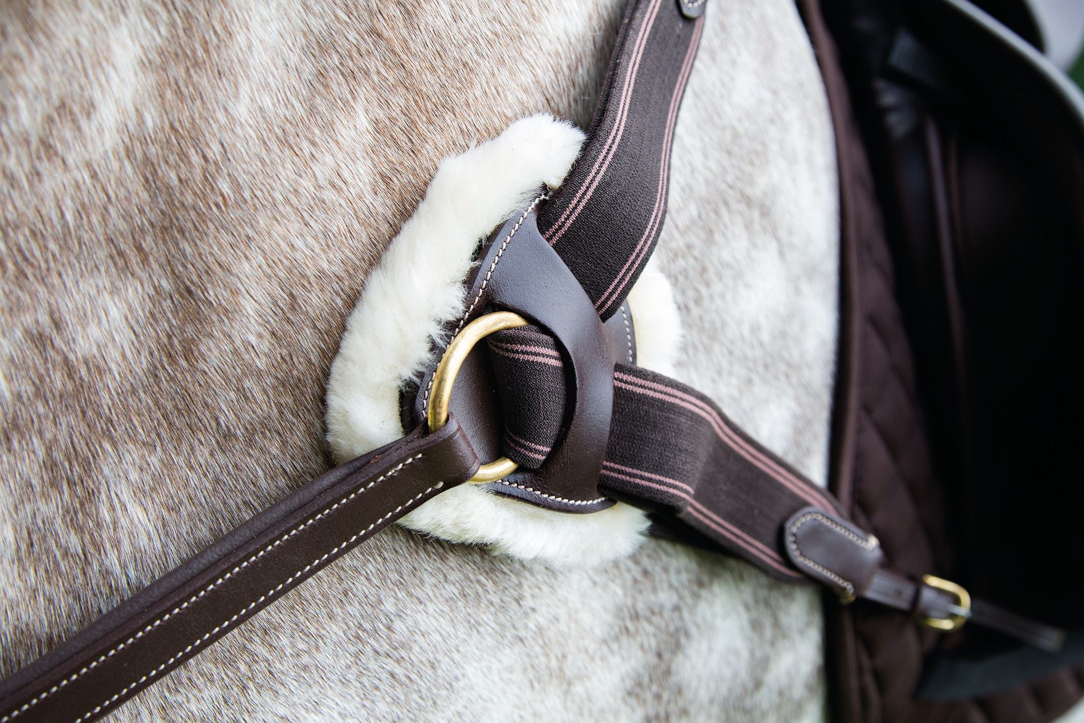 Shires Rossano 5 Point Leather Breastplate