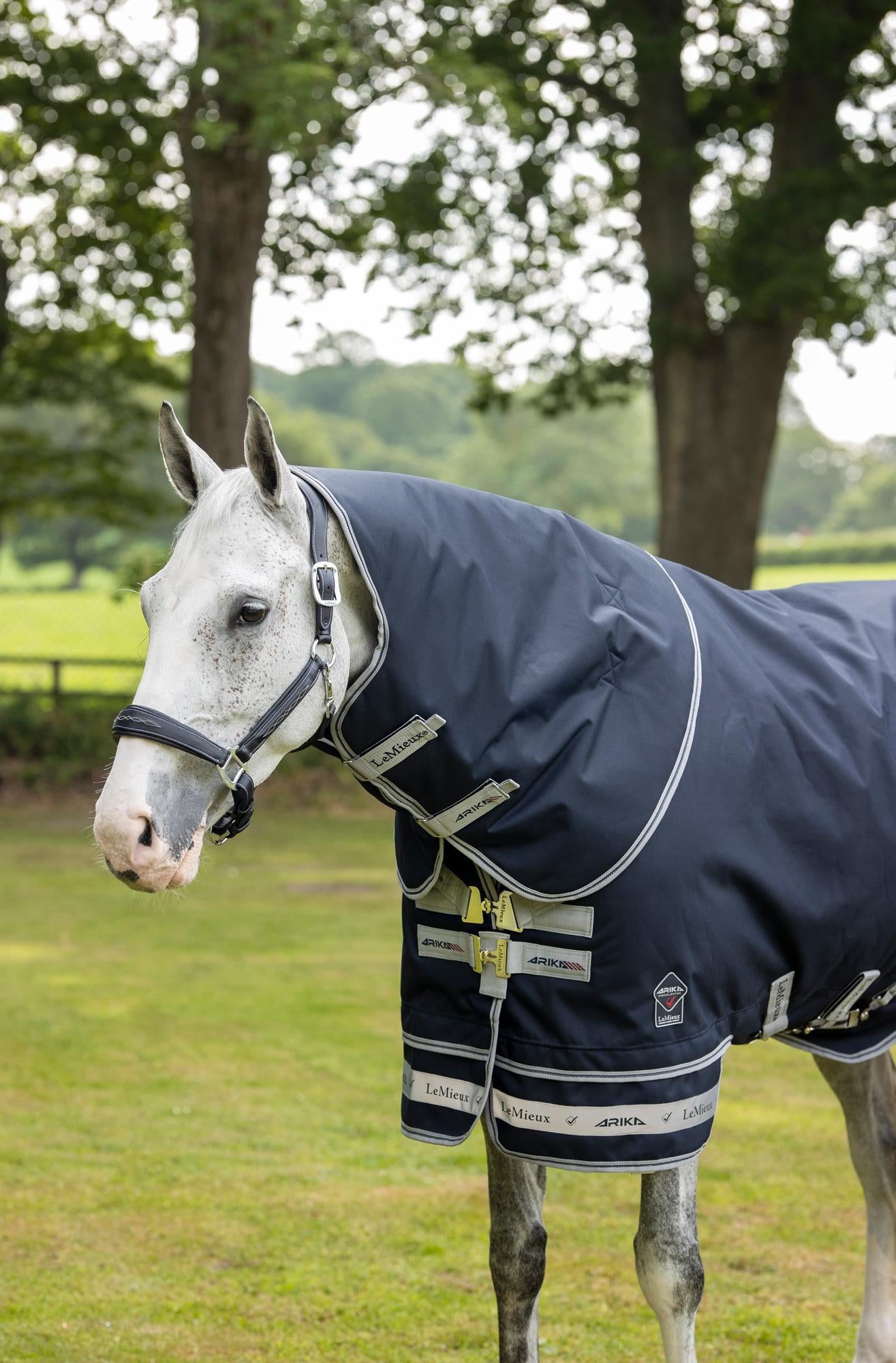 LeMieux Arika Featherweight Rug 0g