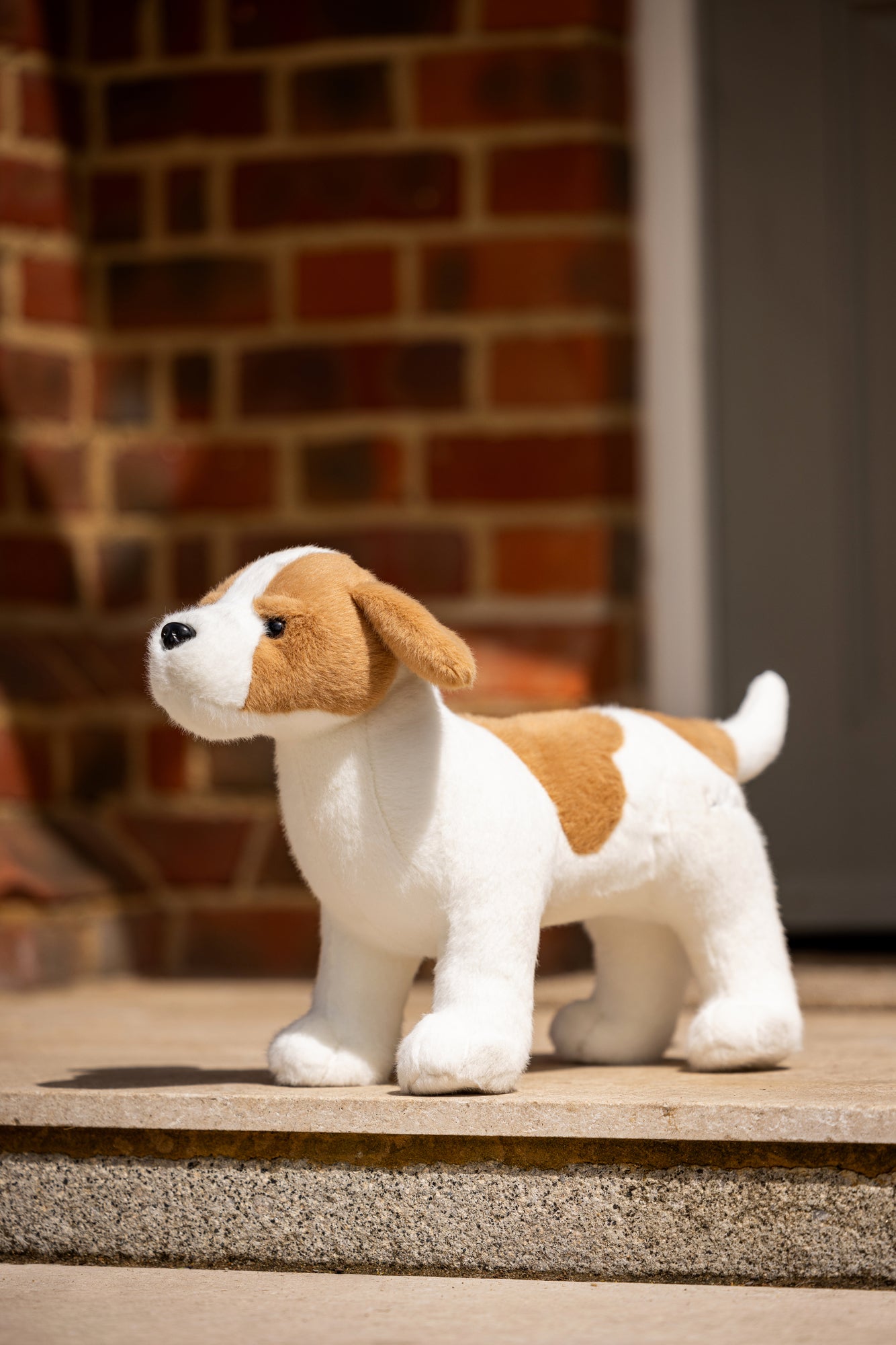 LeMieux Toy Puppy Jack
