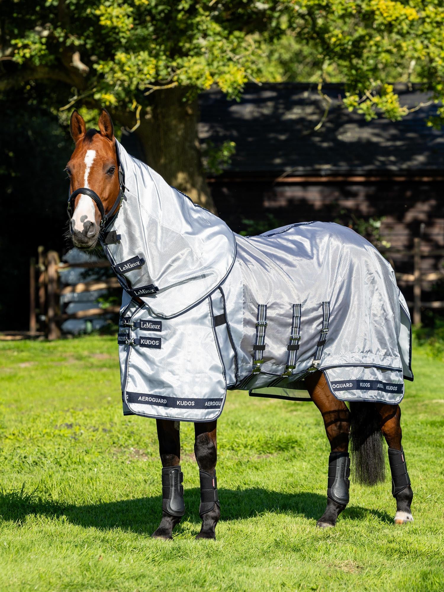 LeMieux Kudos Aeroguard Fly Rug