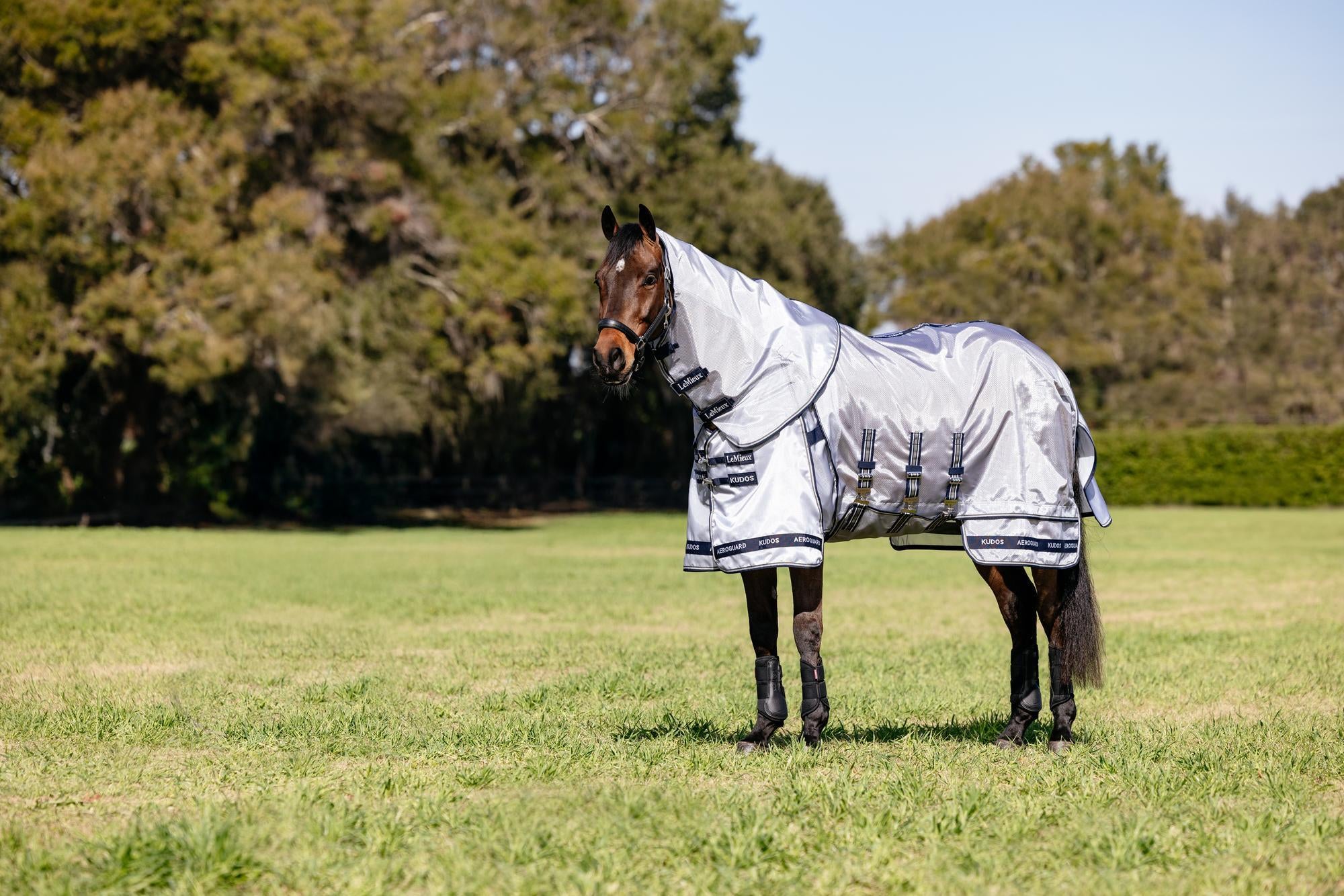 LeMieux Kudos Aeroguard Fly Rug