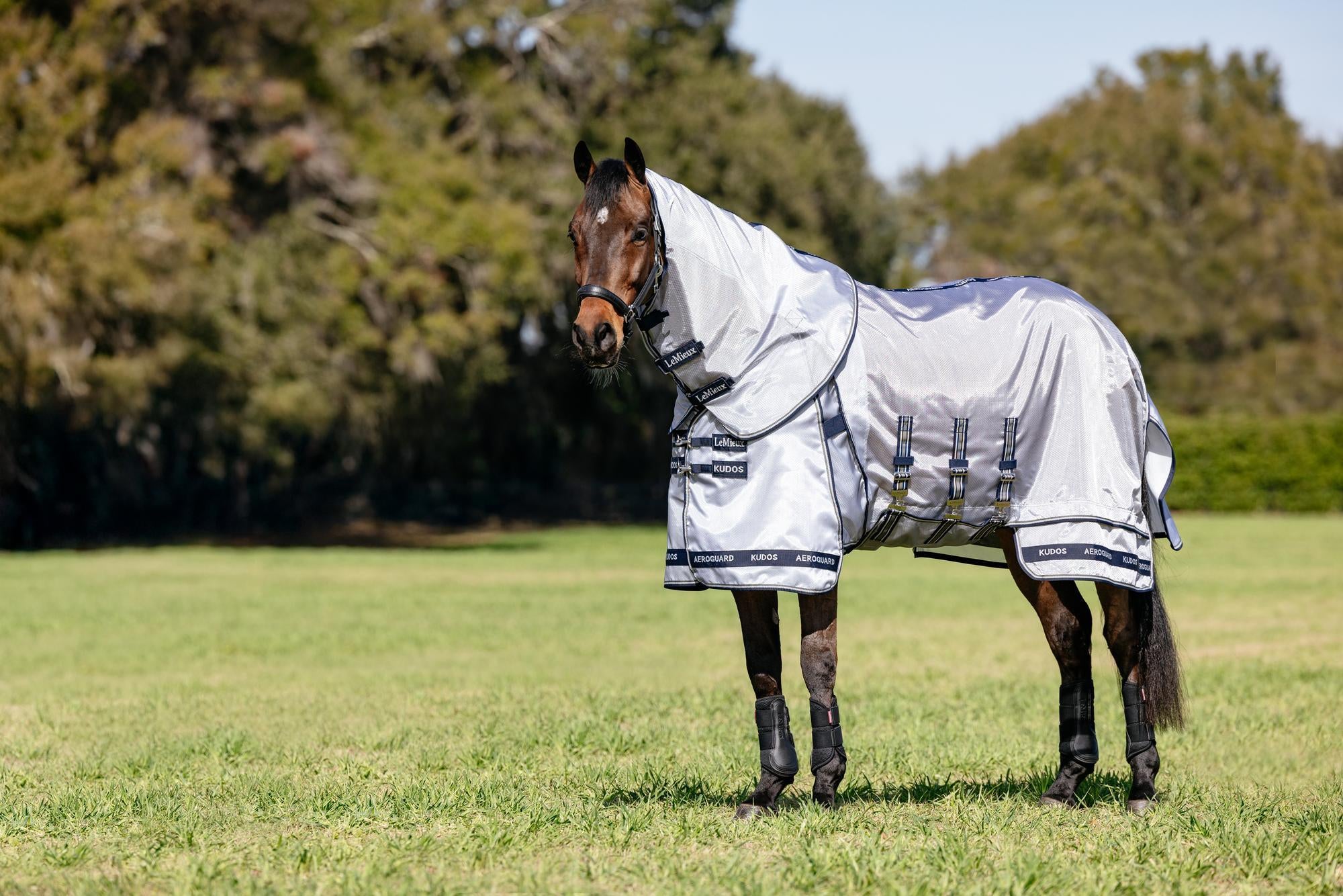 LeMieux Kudos Aeroguard Fly Rug