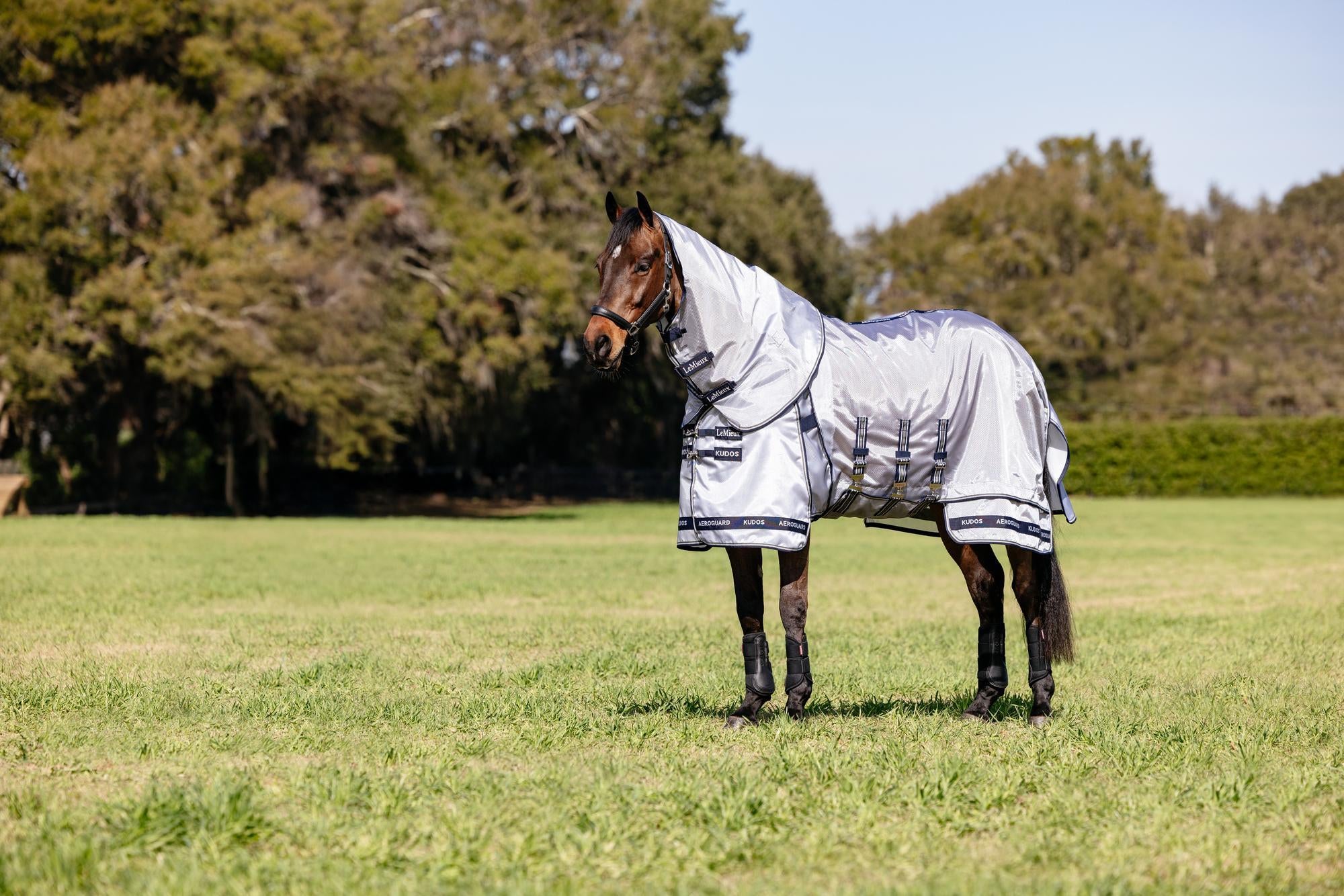 LeMieux Kudos Aeroguard Fly Rug