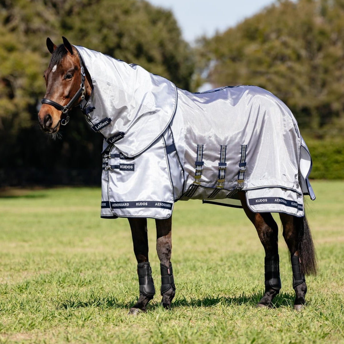 LeMieux Kudos Aeroguard Fly Rug