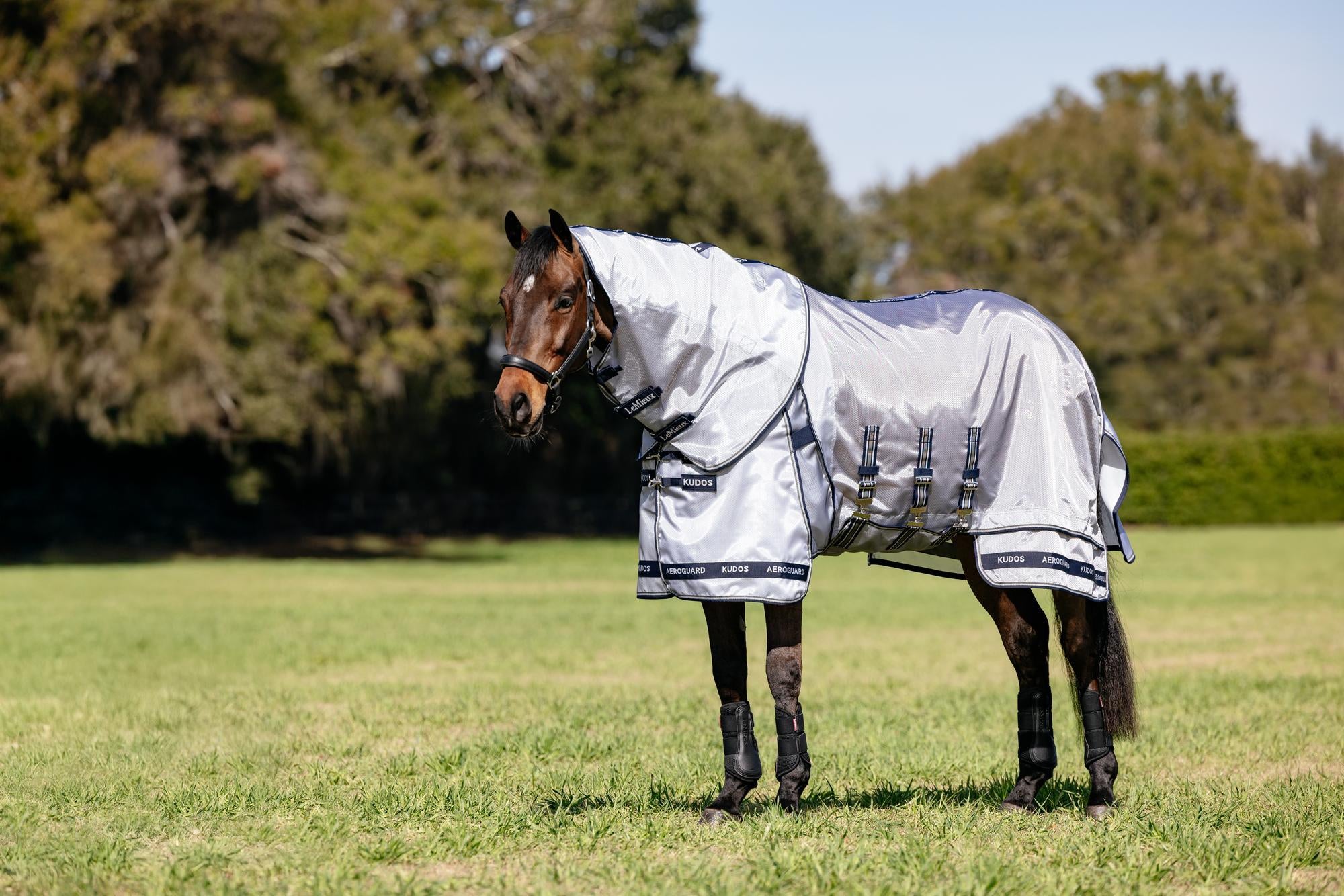 LeMieux Kudos Aeroguard Fly Rug