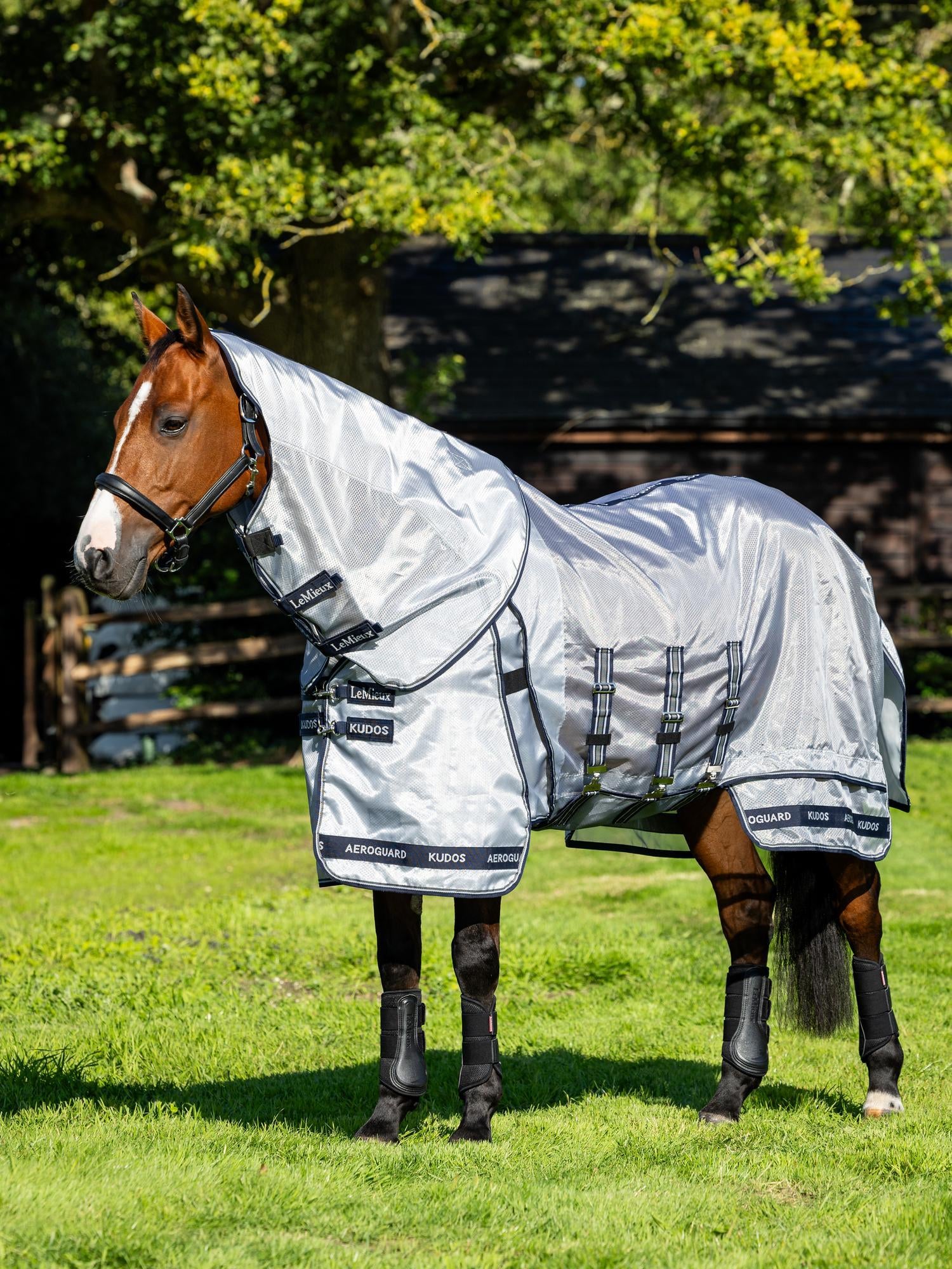 LeMieux Kudos Aeroguard Fly Rug