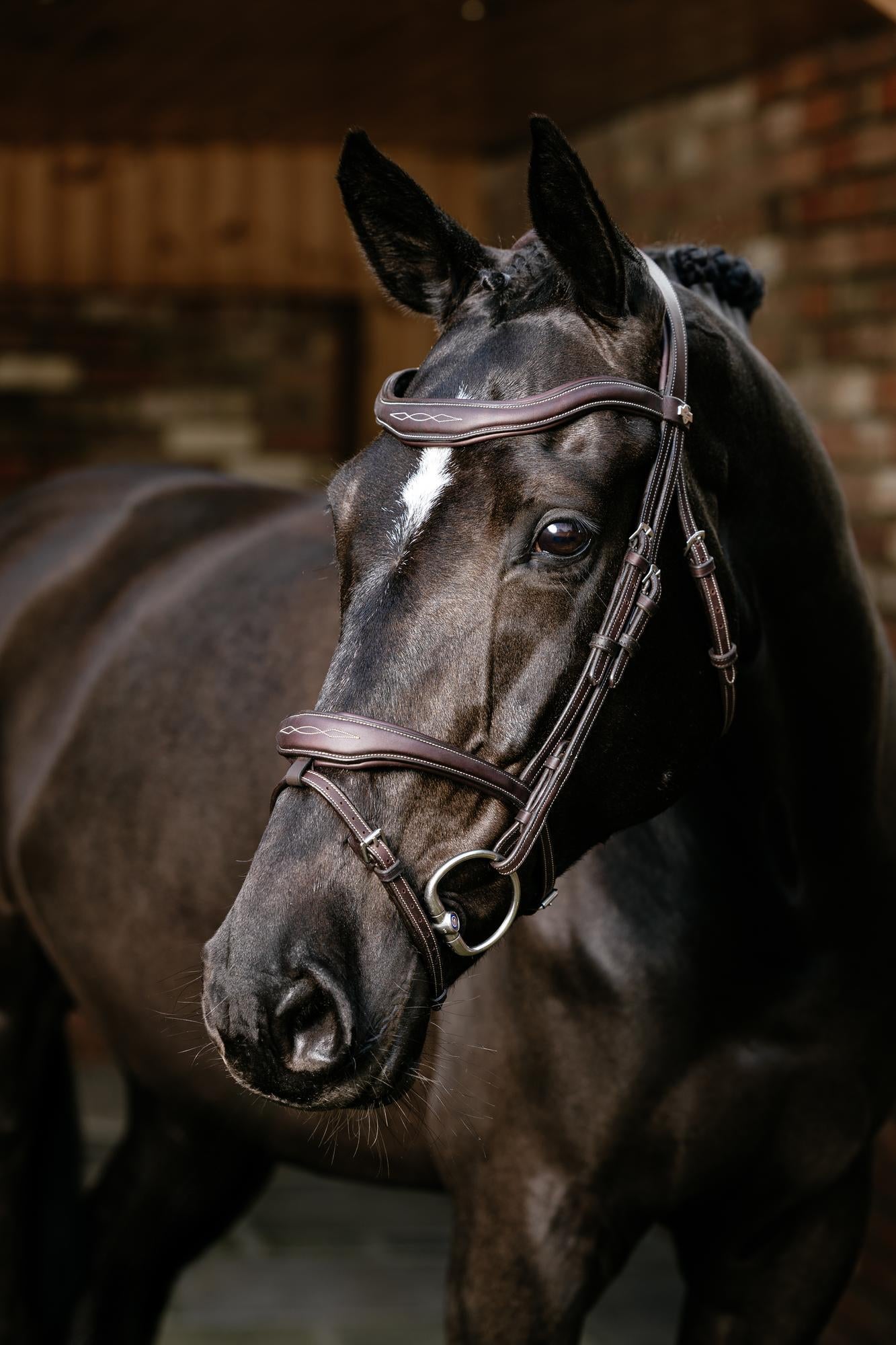 LeMieux Kudos Contour Flash Bridle