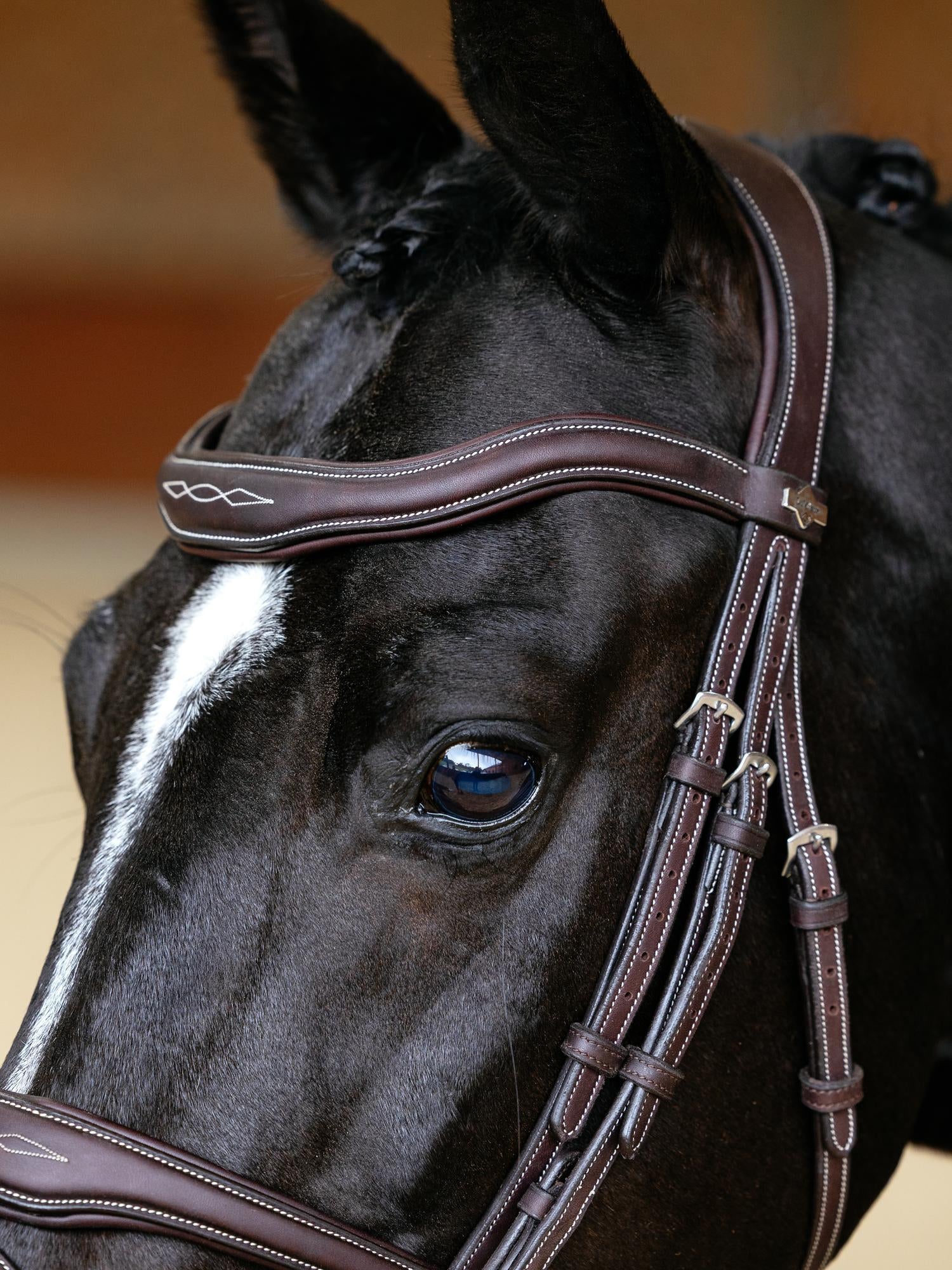 LeMieux Kudos Contour Flash Bridle