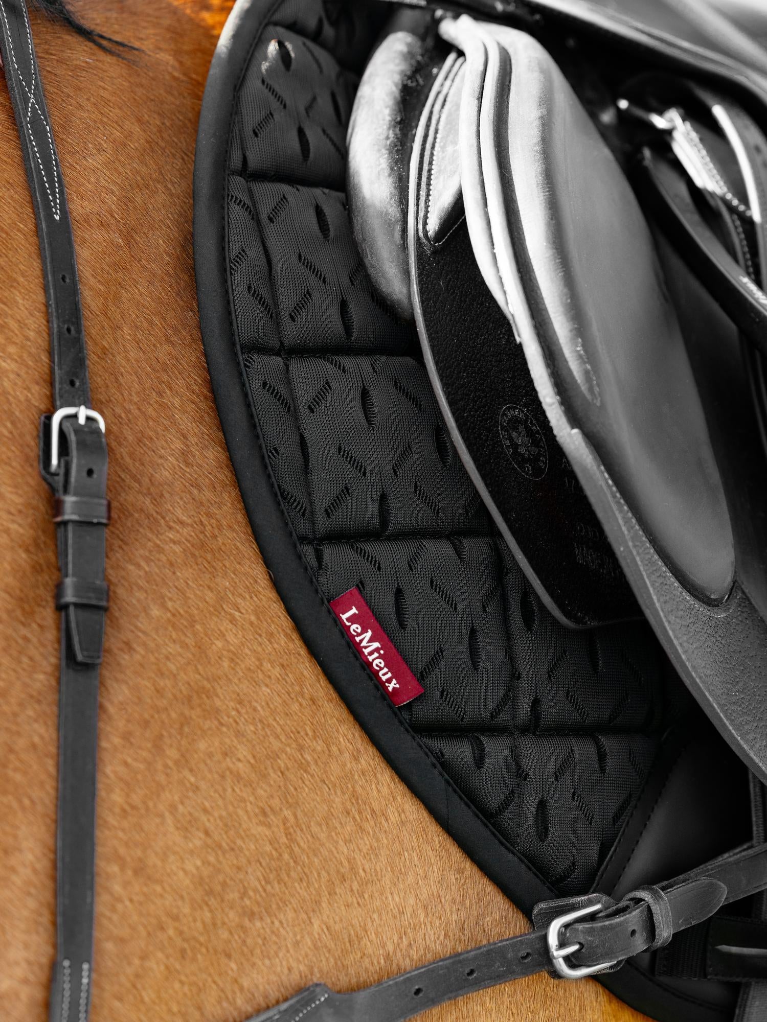 LeMieux 3D Mesh Self-Cool Eurojump Saddle Pad