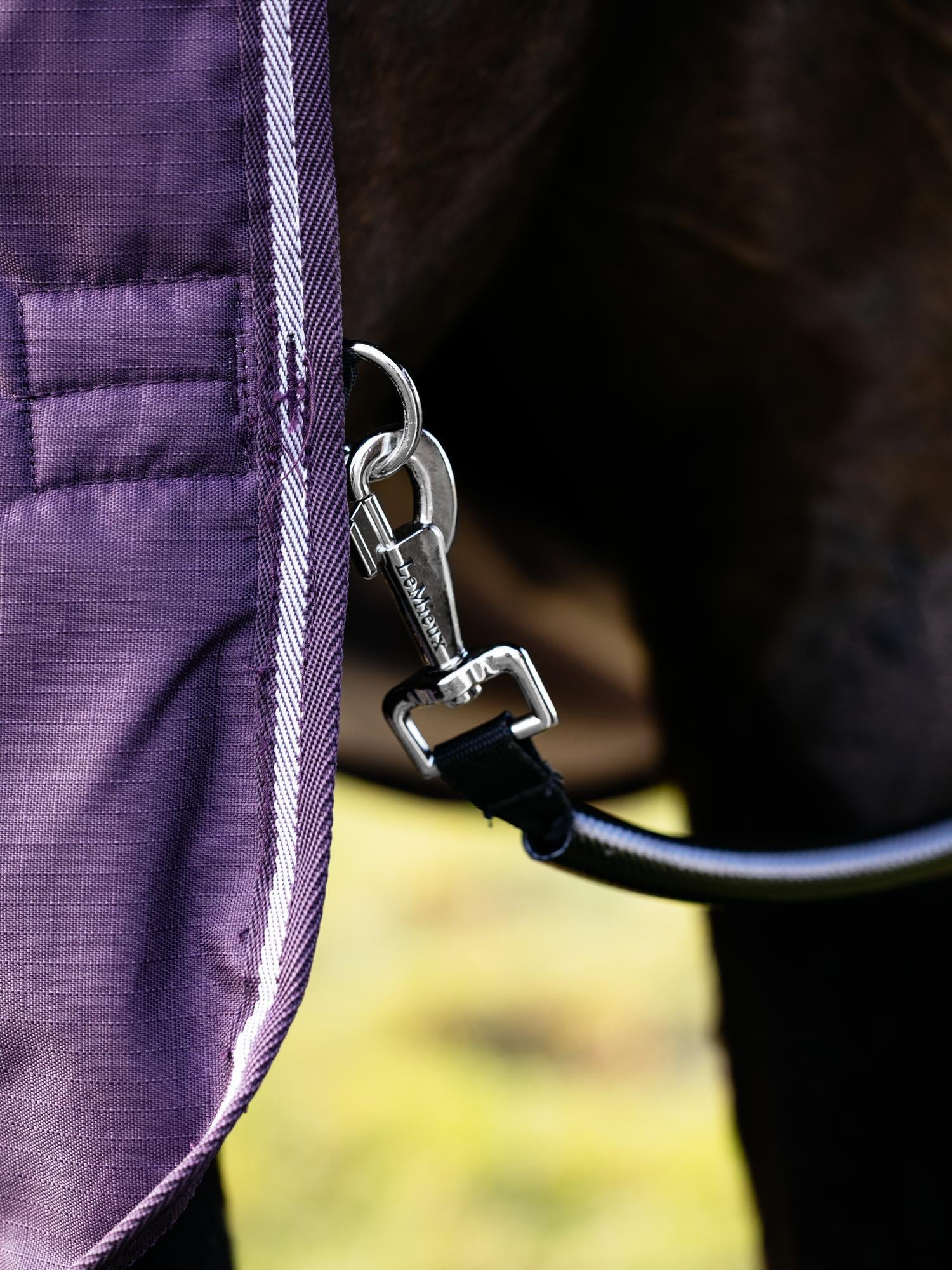 LeMieux Arika Ripstop 200g Turnout Blanket