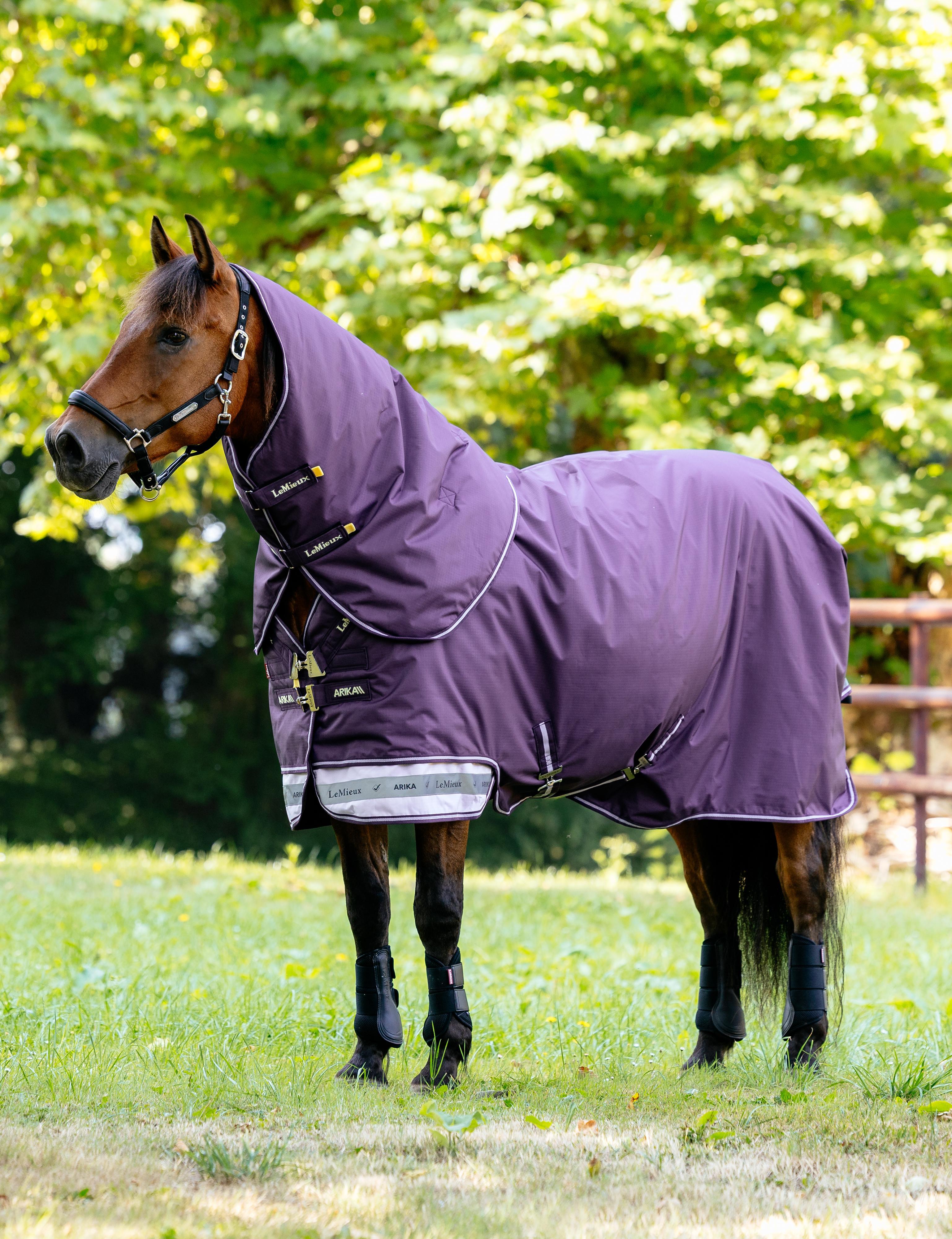LeMieux Arika Ripstop 200g Turnout Blanket