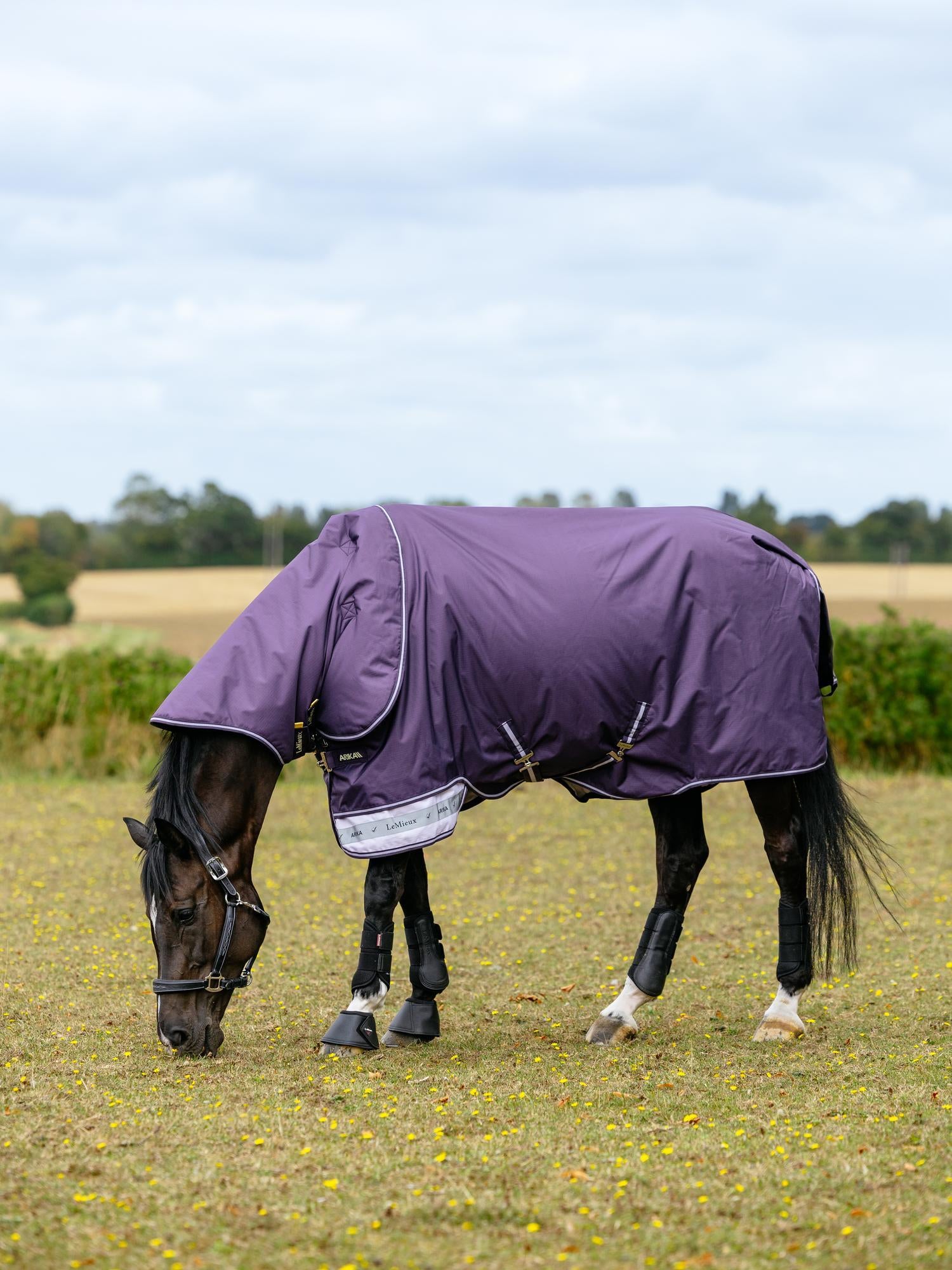 LeMieux Arika Ripstop 200g Turnout Blanket