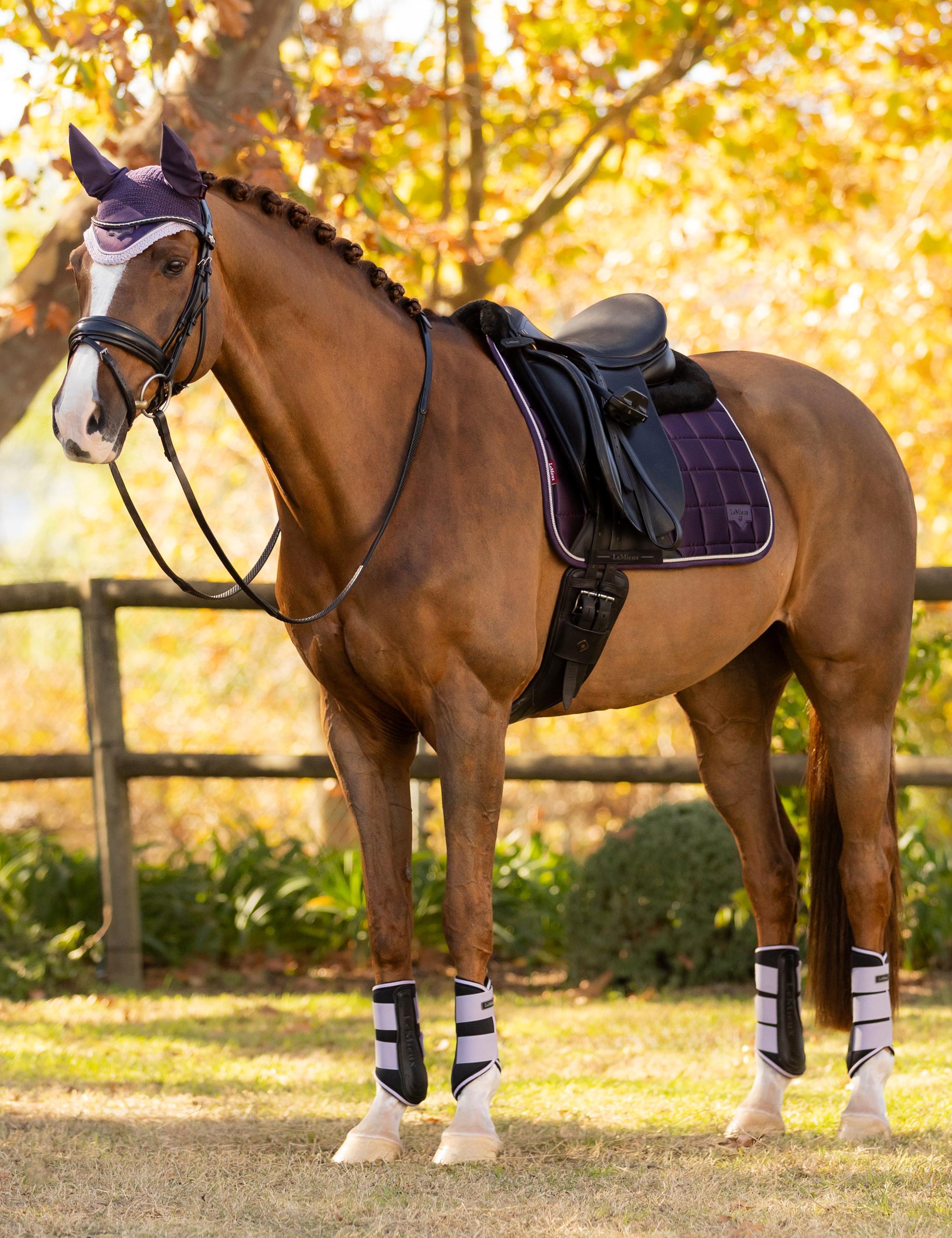 LeMieux Merino+ Loire Classic Dressage Pad