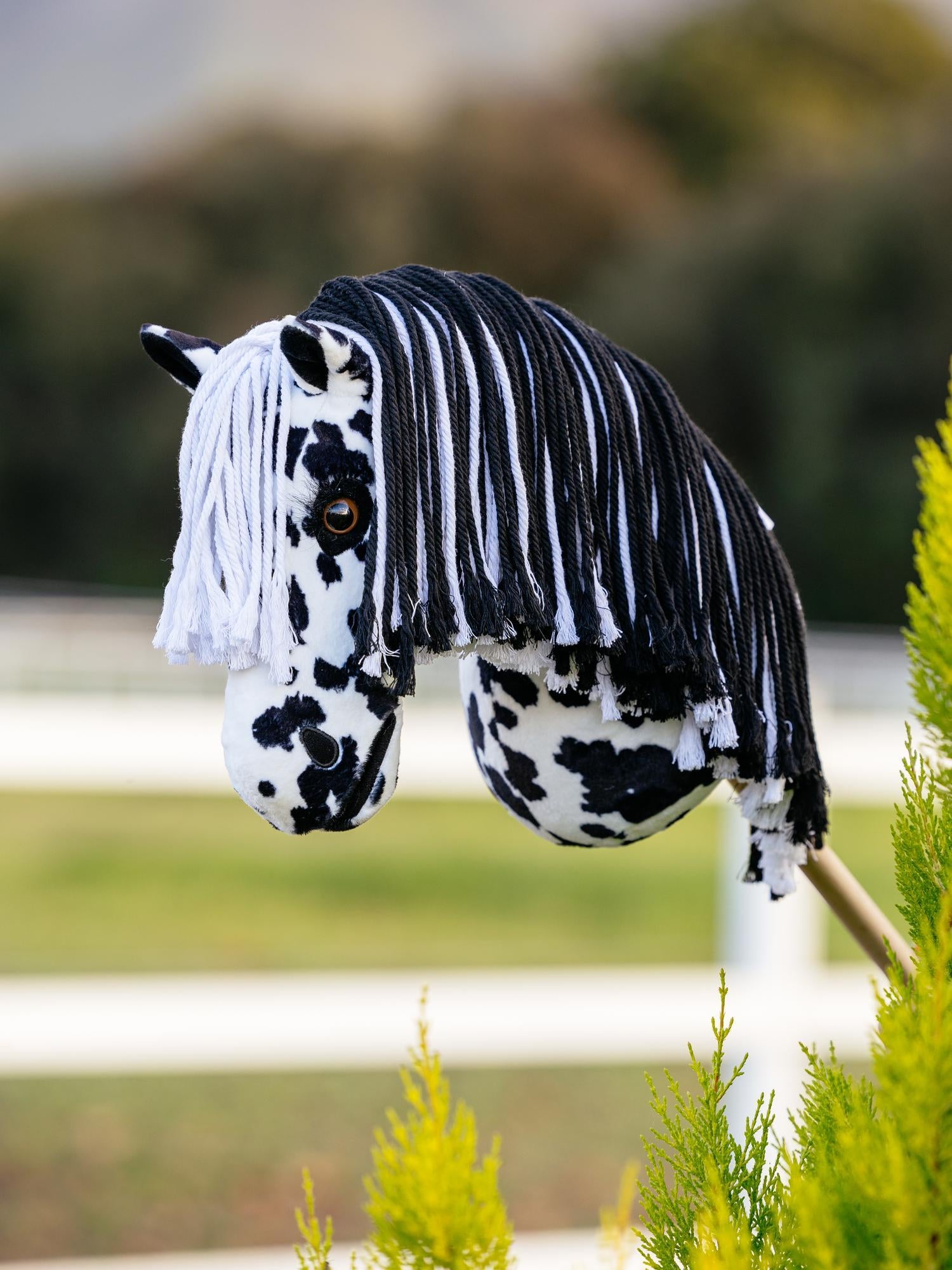 LeMieux Hobby Horse Dakota