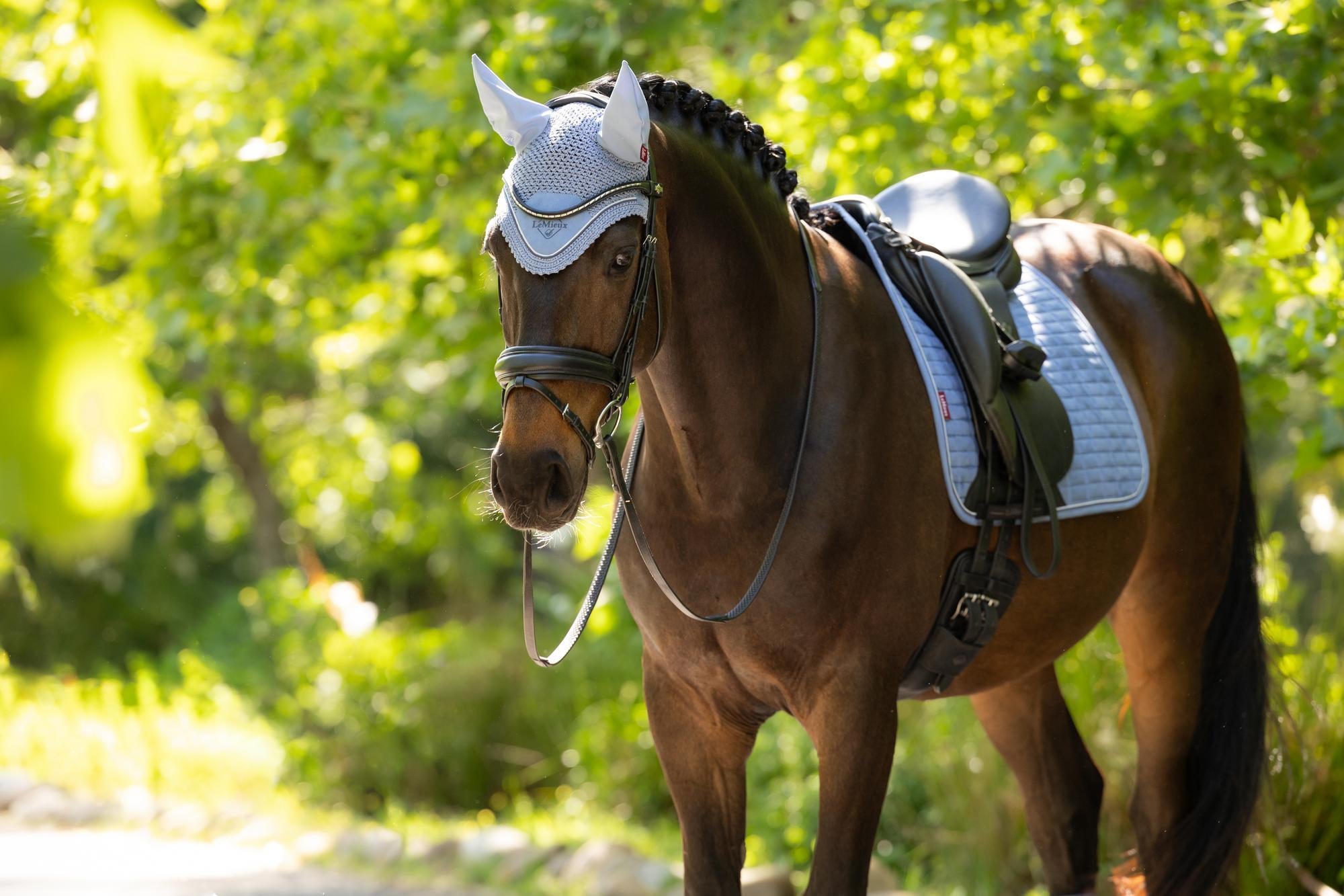 LeMieux Classic Ear Bonnet
