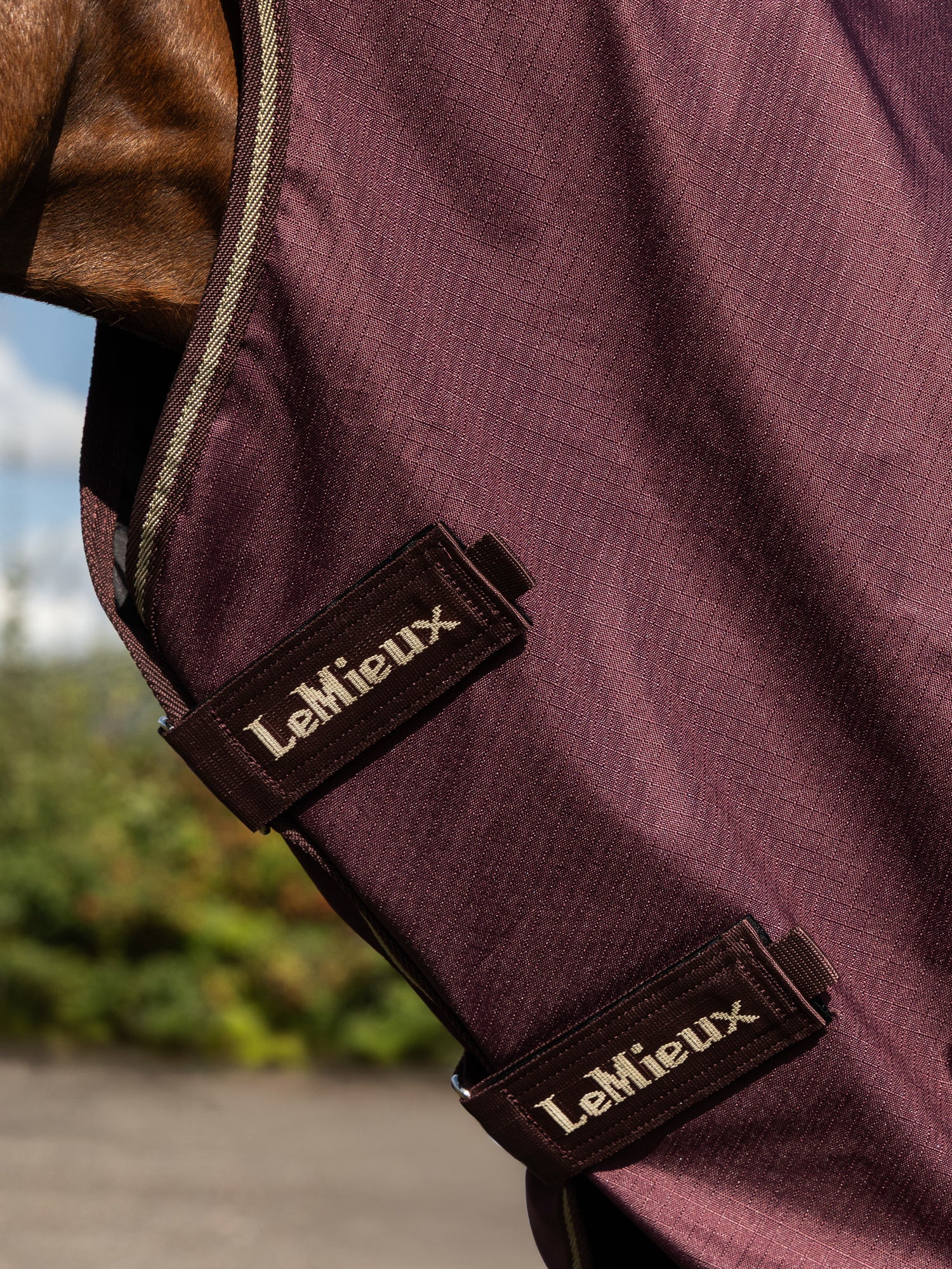 LeMieux Arika Ripstop 0g Turnout Rug