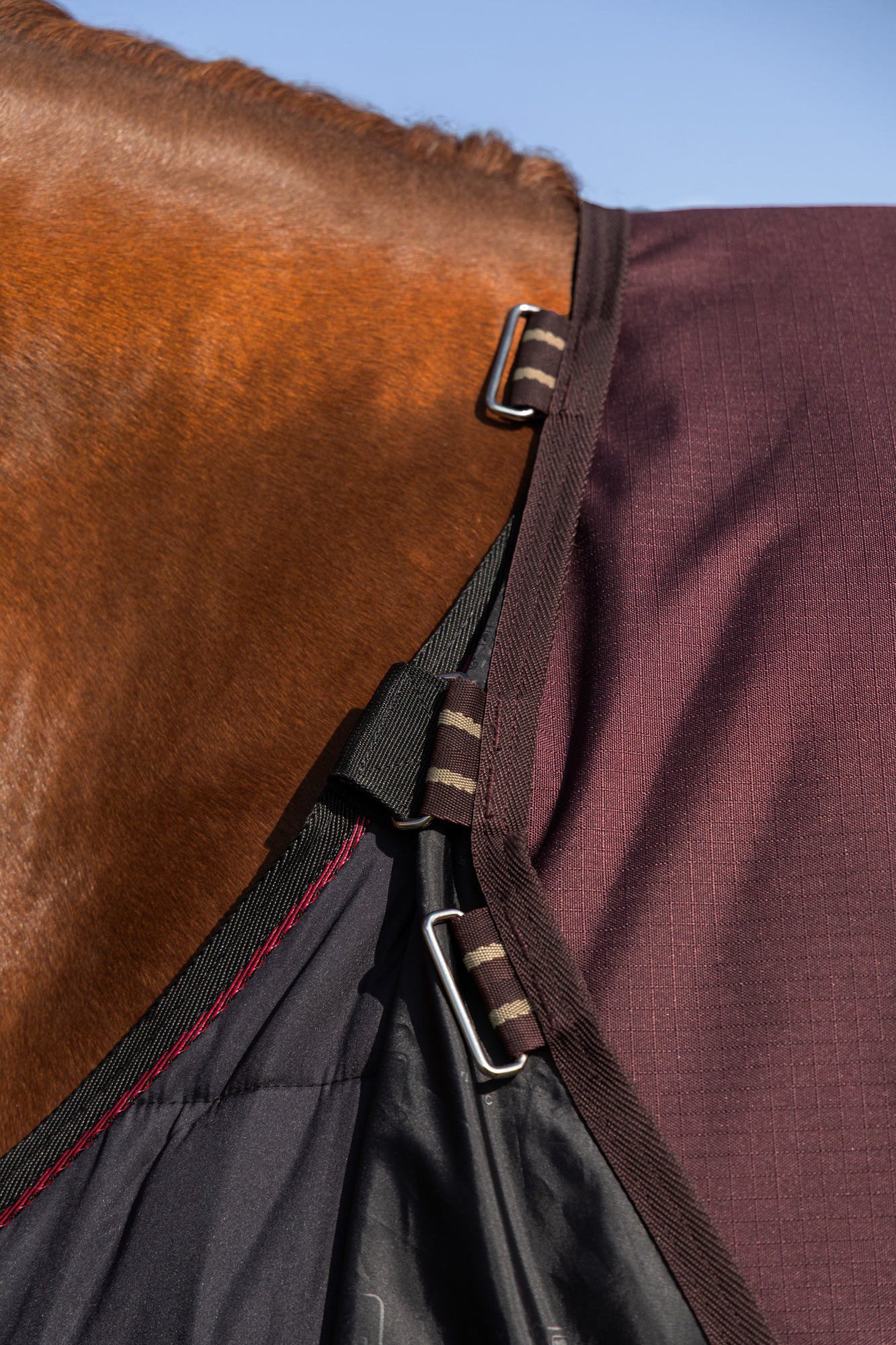 LeMieux Arika Ripstop 0g Turnout Rug
