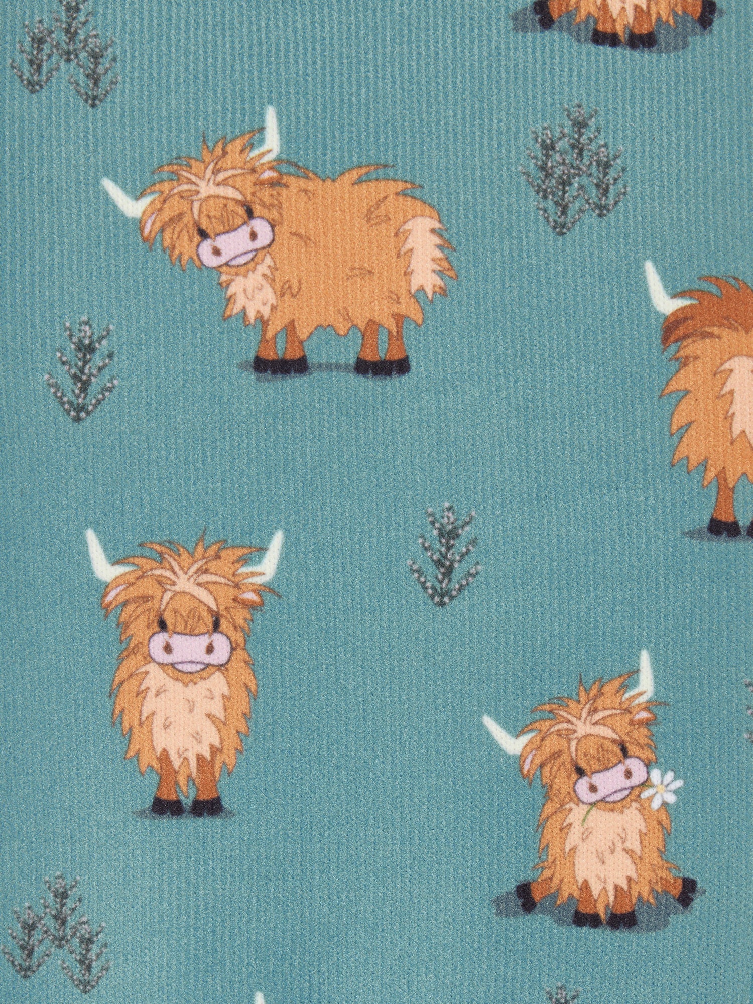 #color_Highland Cow/Aloe
