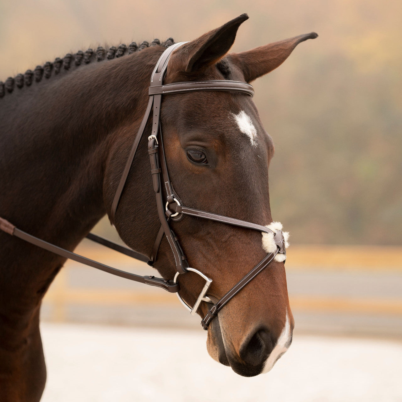 KL Select Black Oak Cedar Figure 8 Bridle - main