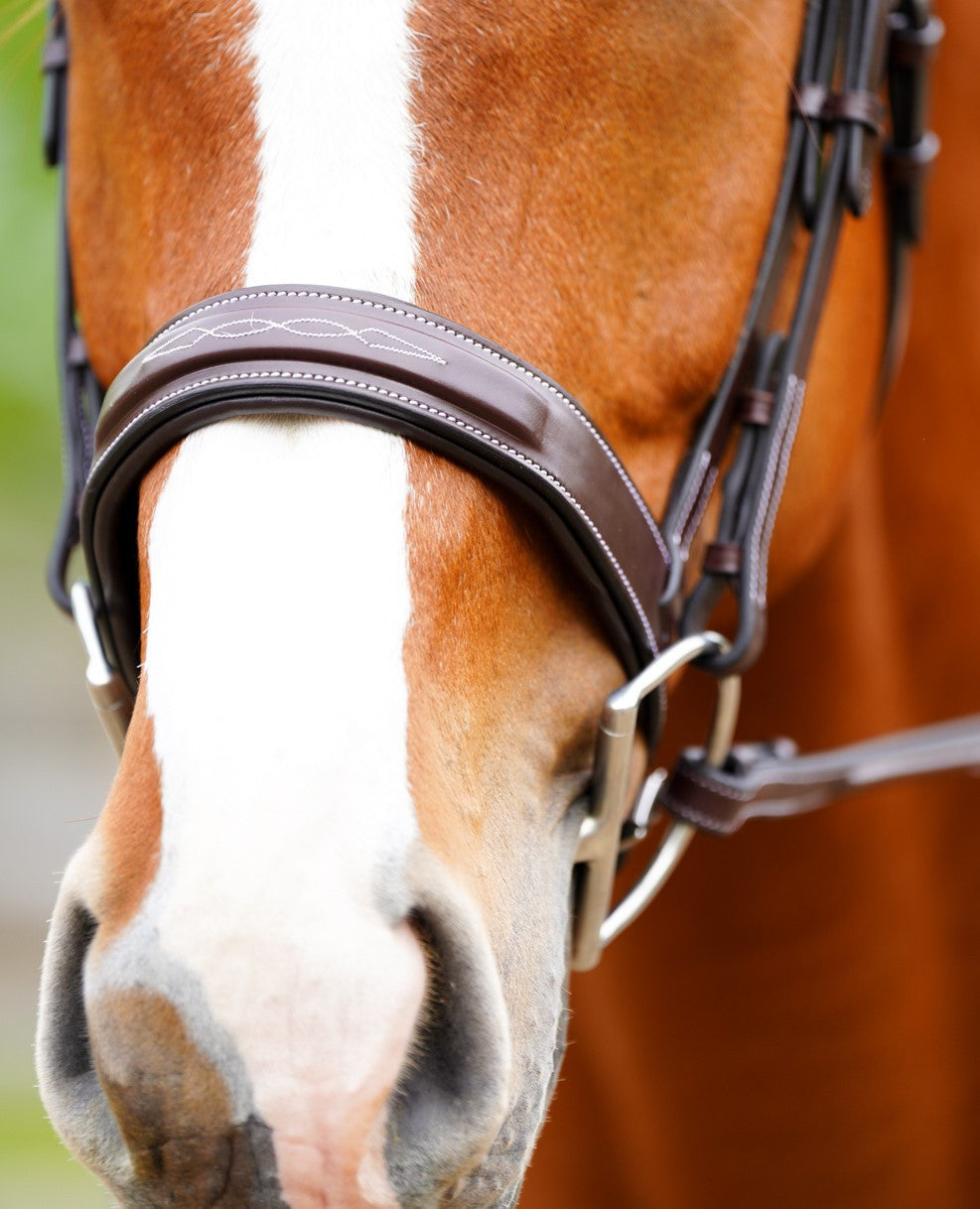 KL Select Black Oak Tupelo Hunter Bridle with Laced Reins - supporting