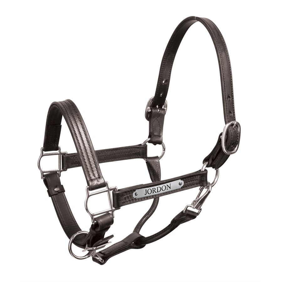 Perri's Premium 1" Leather Show Halter with Nameplate